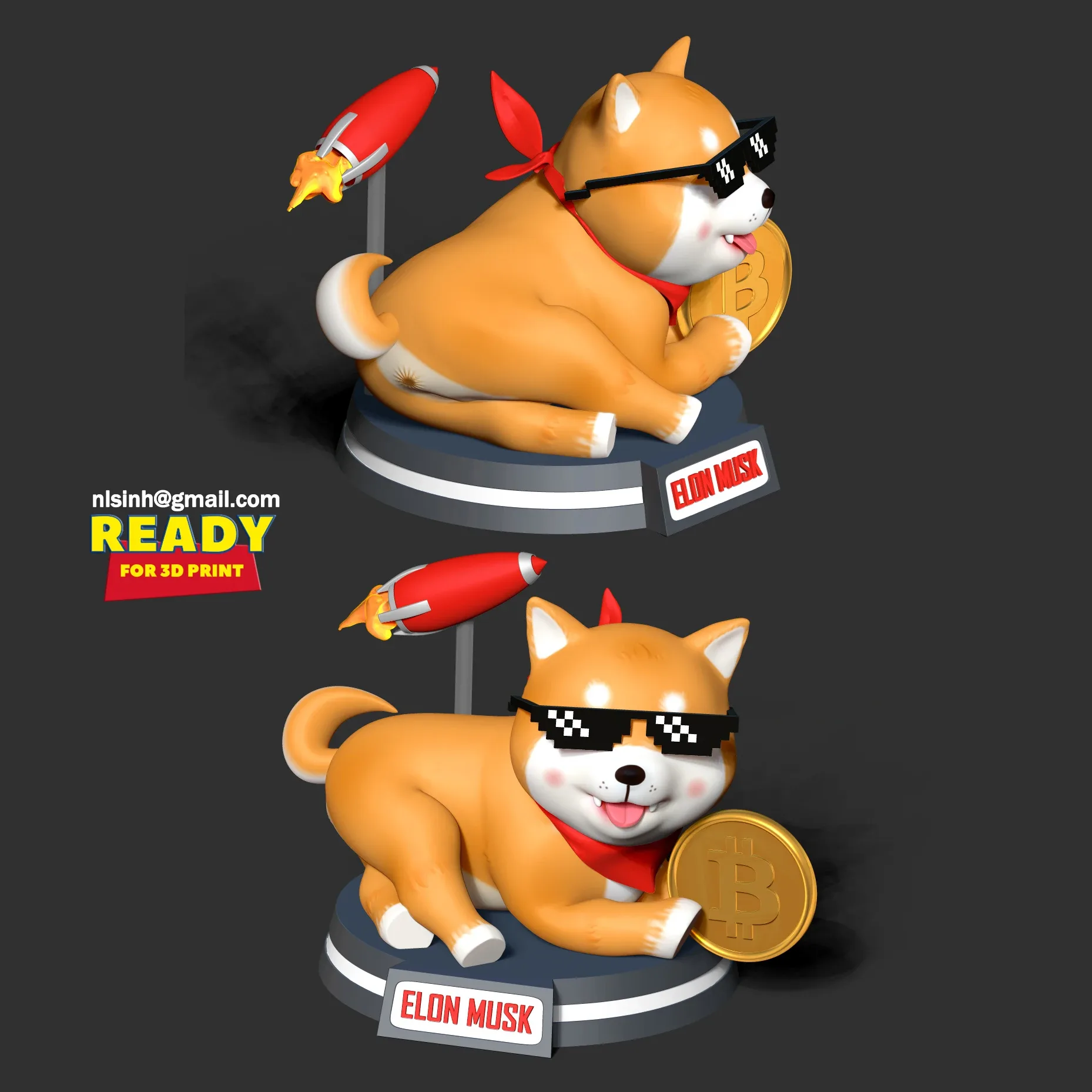Shiba Inu coin