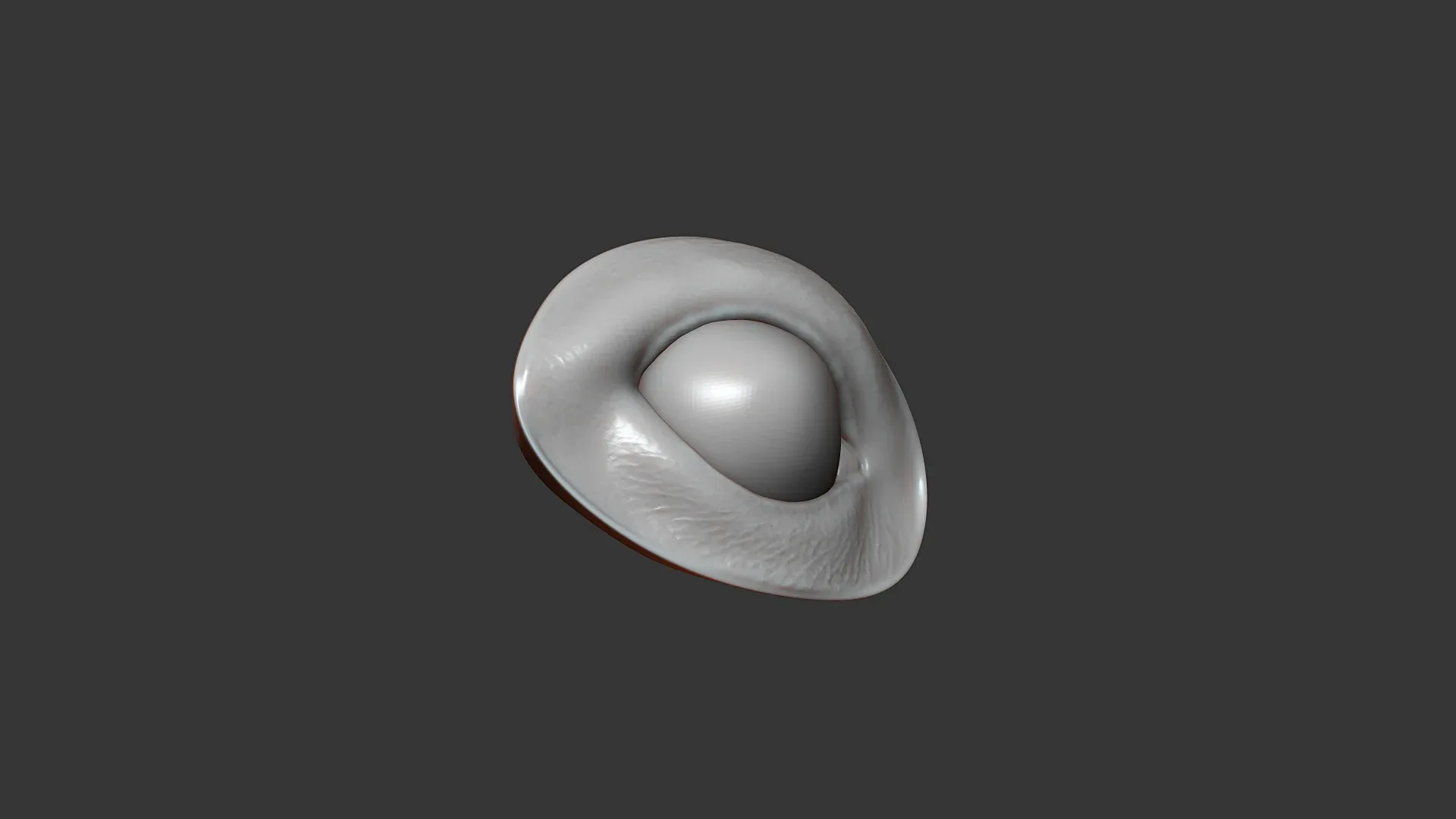 Rat Eye Socket Highpoly Sculpt