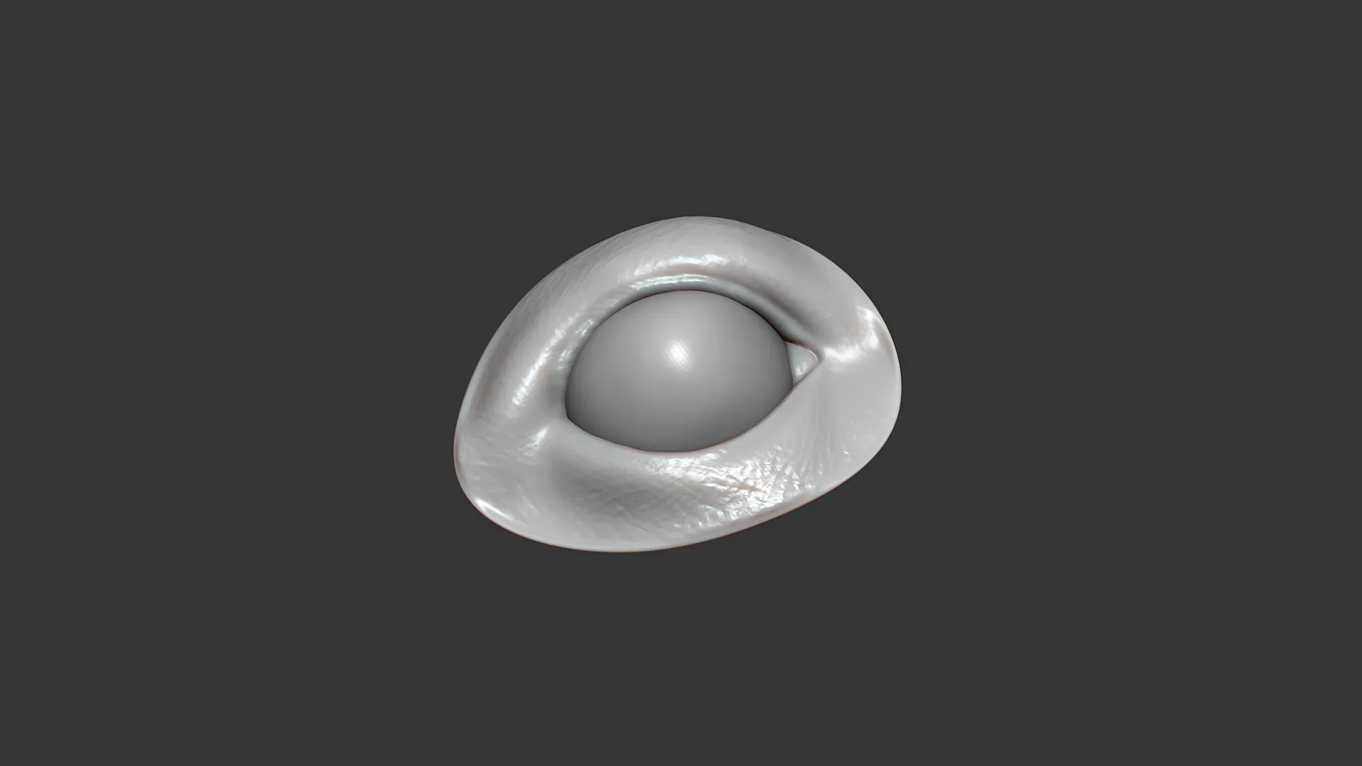 Rat Eye Socket Highpoly Sculpt