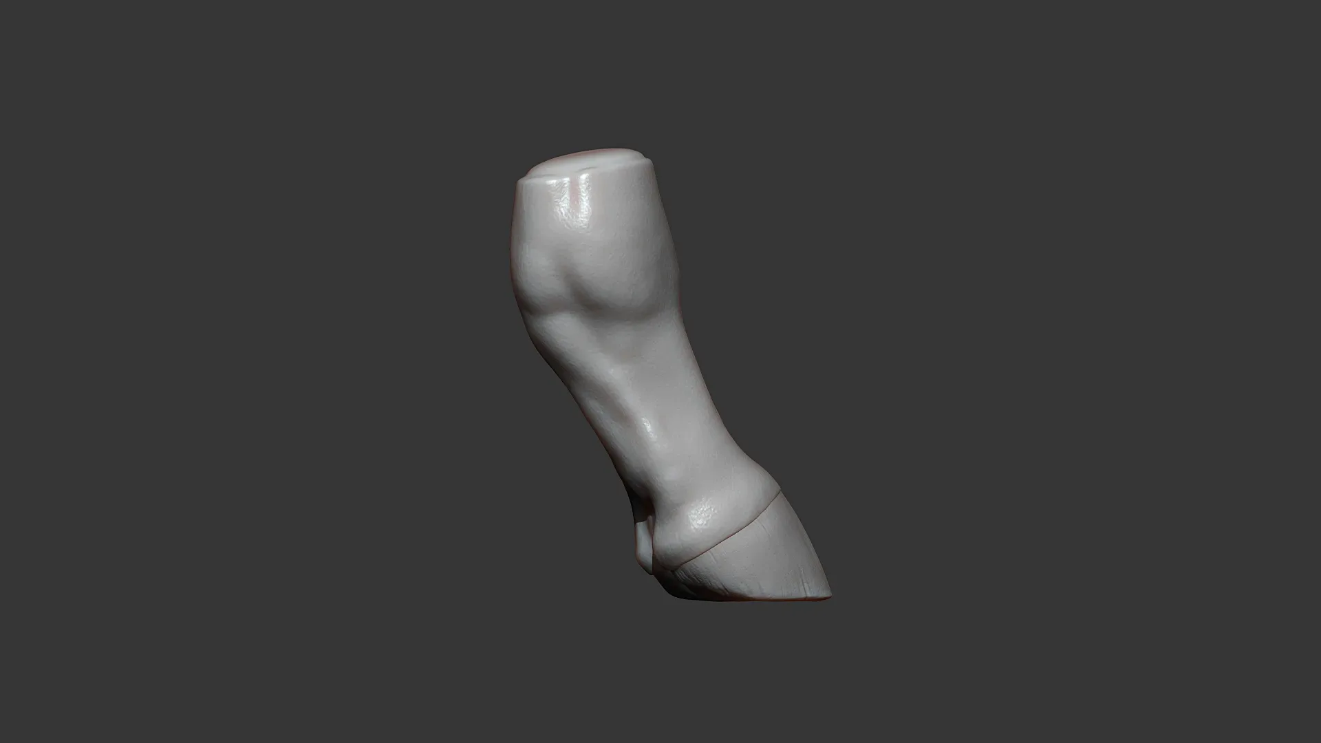 Horse Foal Hoof Highpoly Sculpt