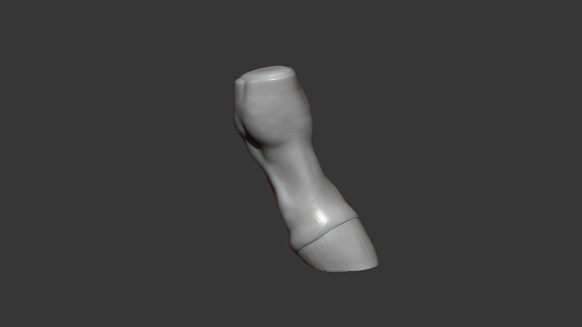 Horse Foal Hoof Highpoly Sculpt