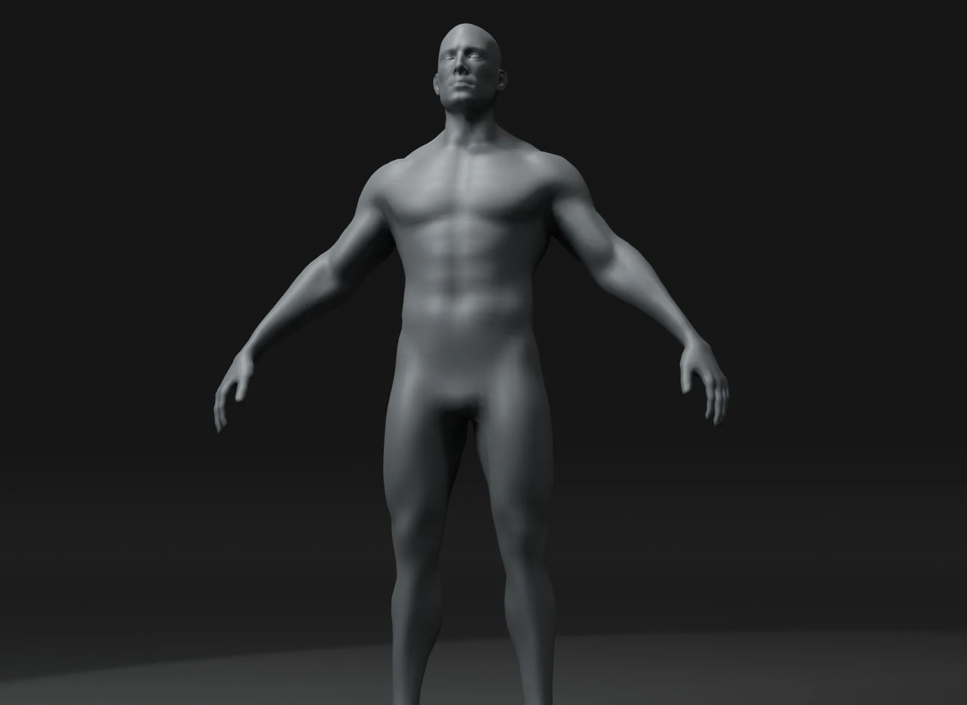 Male Body Base Mesh 3D Model 20k Polygons