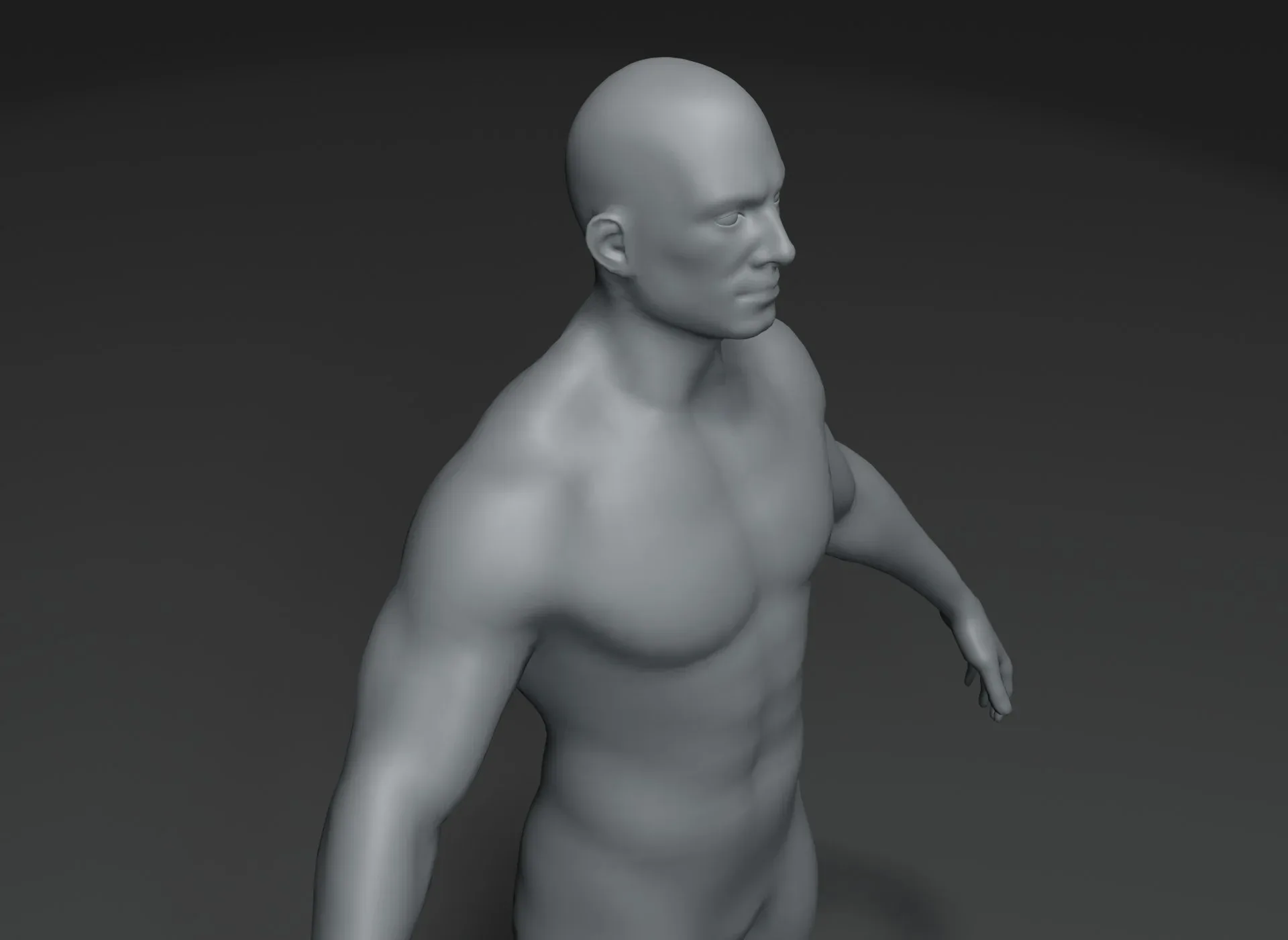 Male Body Base Mesh 3D Model 20k Polygons