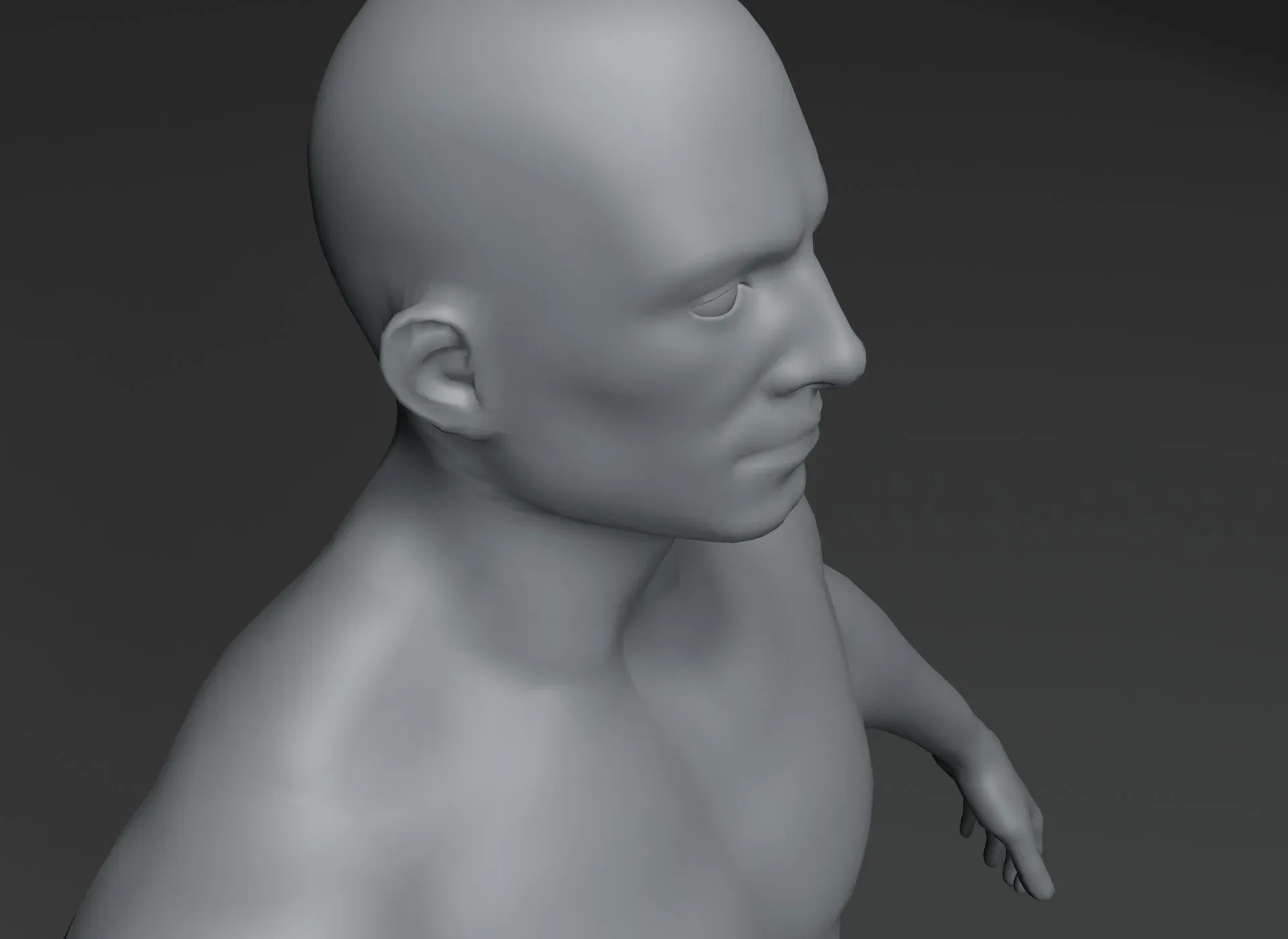 Male Body Base Mesh 3D Model 20k Polygons