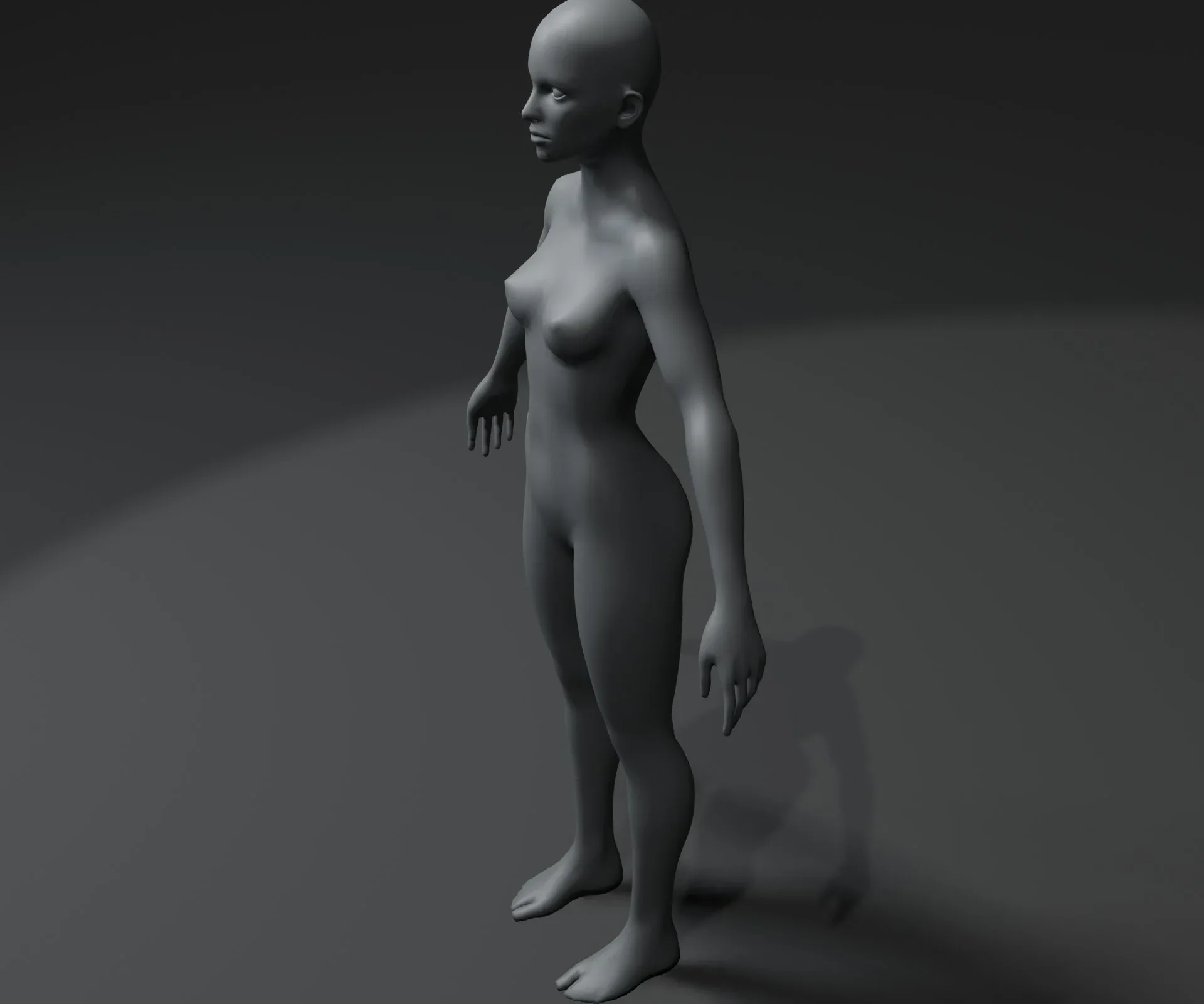 Female Body Base Mesh 3D Model 20k Polygons