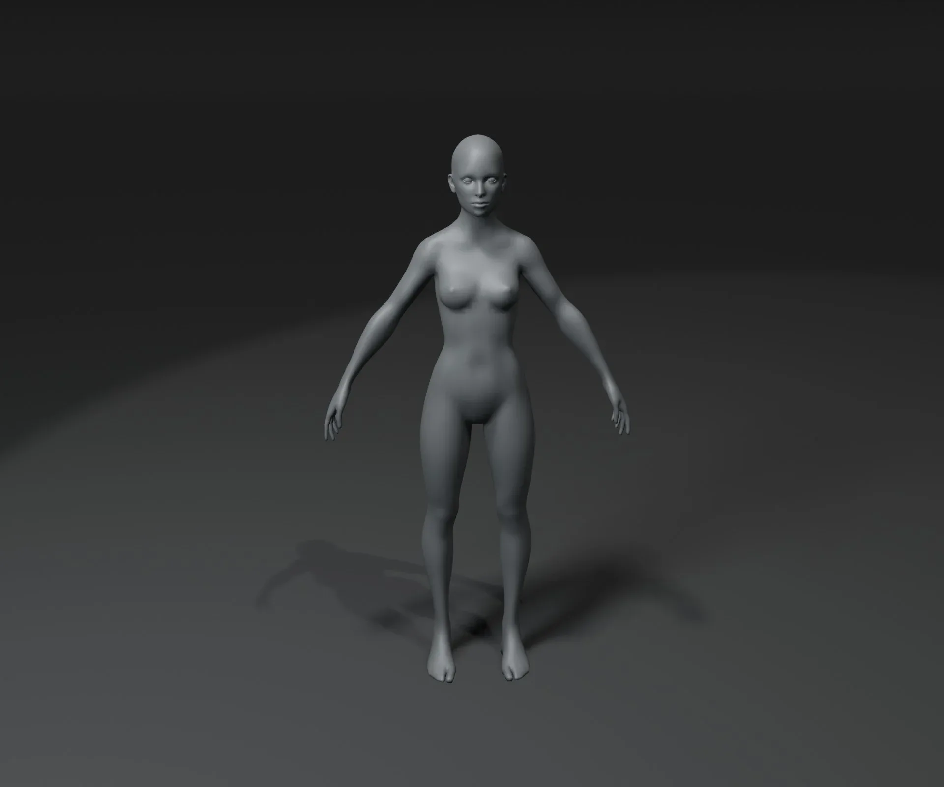 Female Body Base Mesh 3D Model 20k Polygons