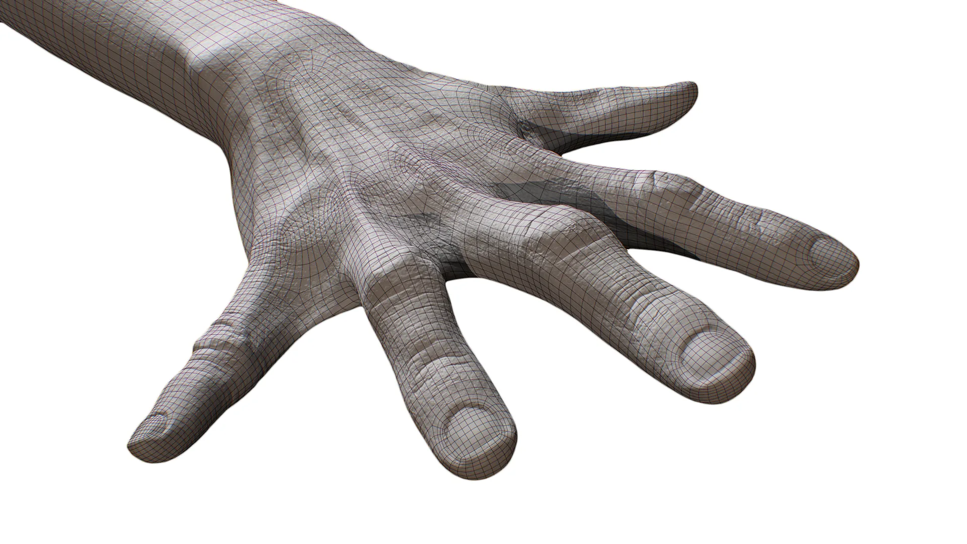 Retopologized Hand scan | 3D Model Sarah Itbehah