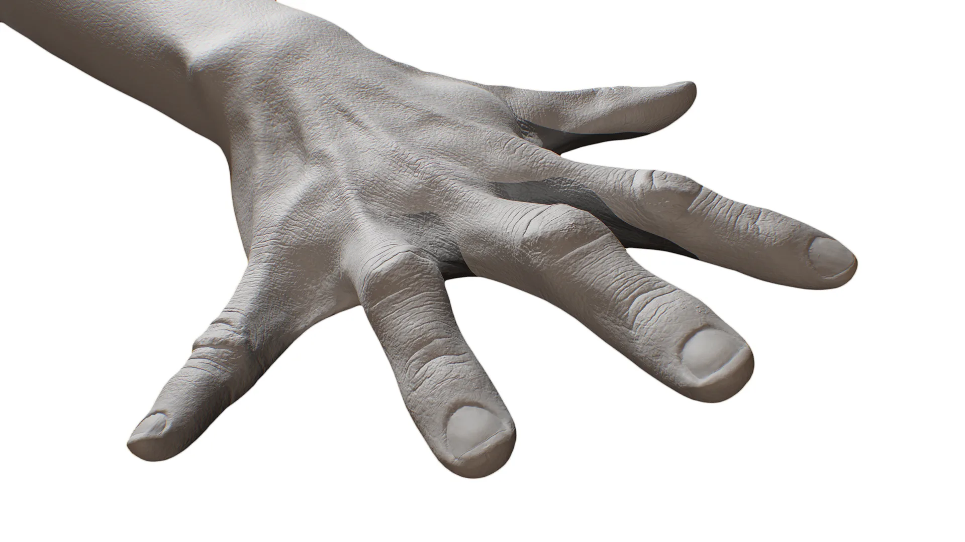 Retopologized Hand scan | 3D Model Sarah Itbehah