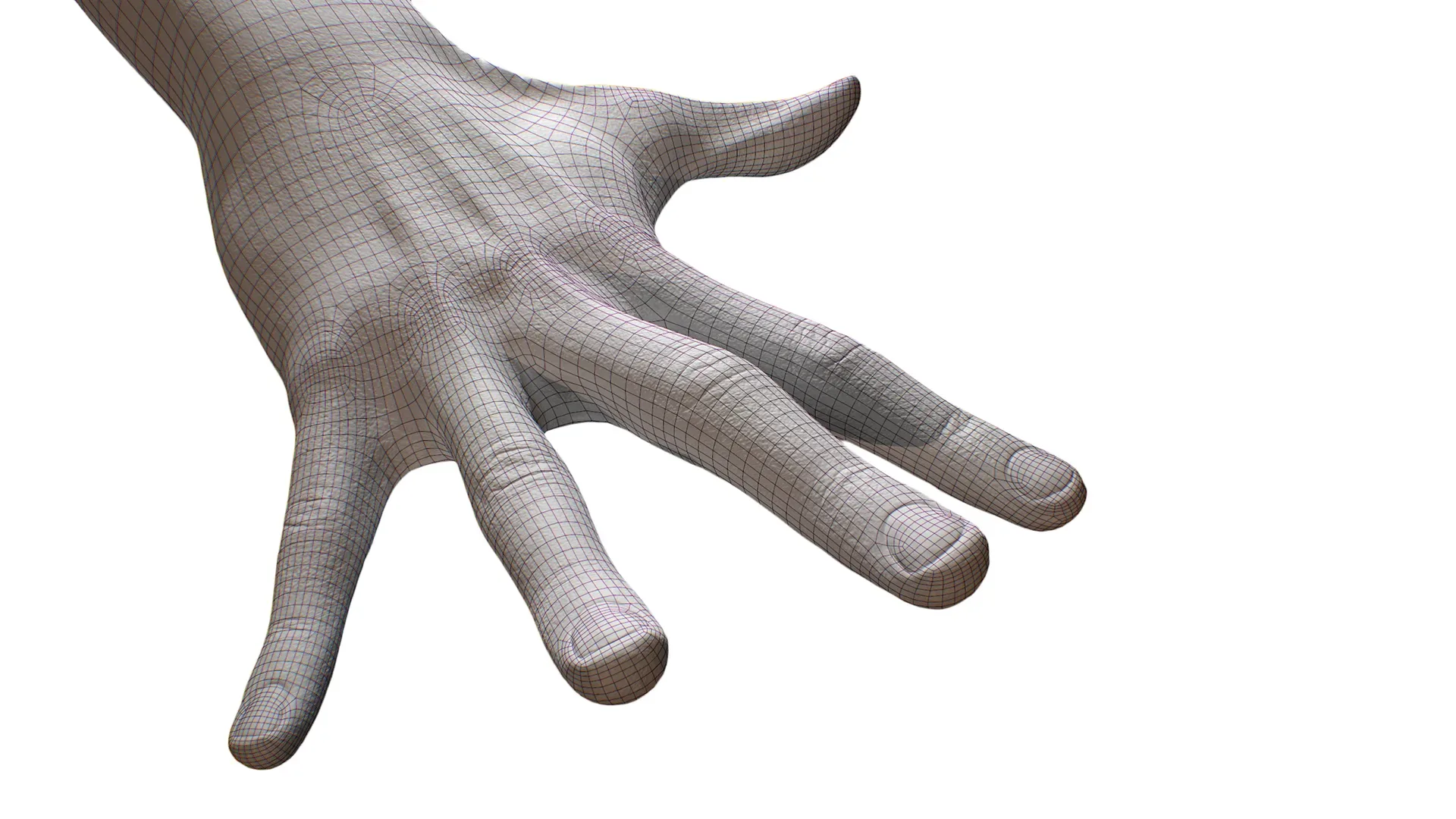 Retopologized Hand scan 3D Model FlippedNormals
