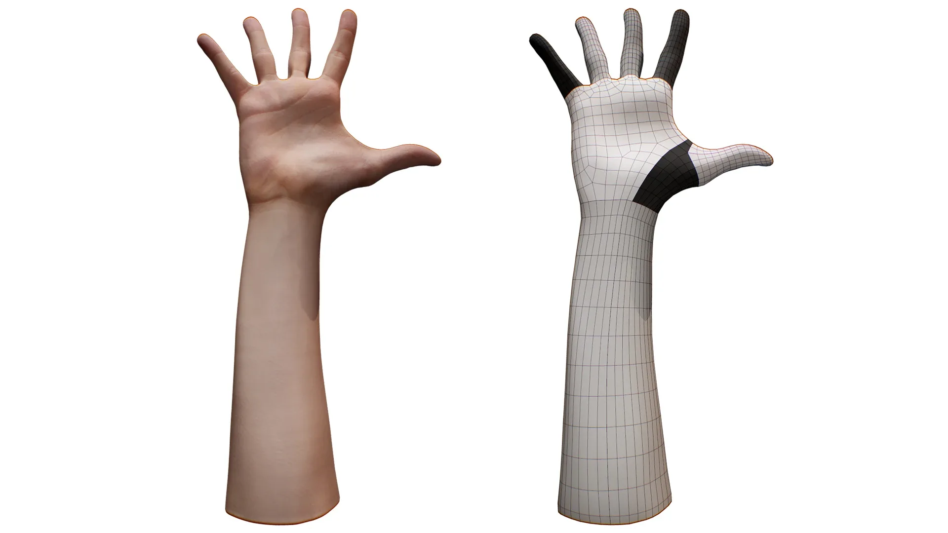 Retopologized Hand scan 3D Model FlippedNormals