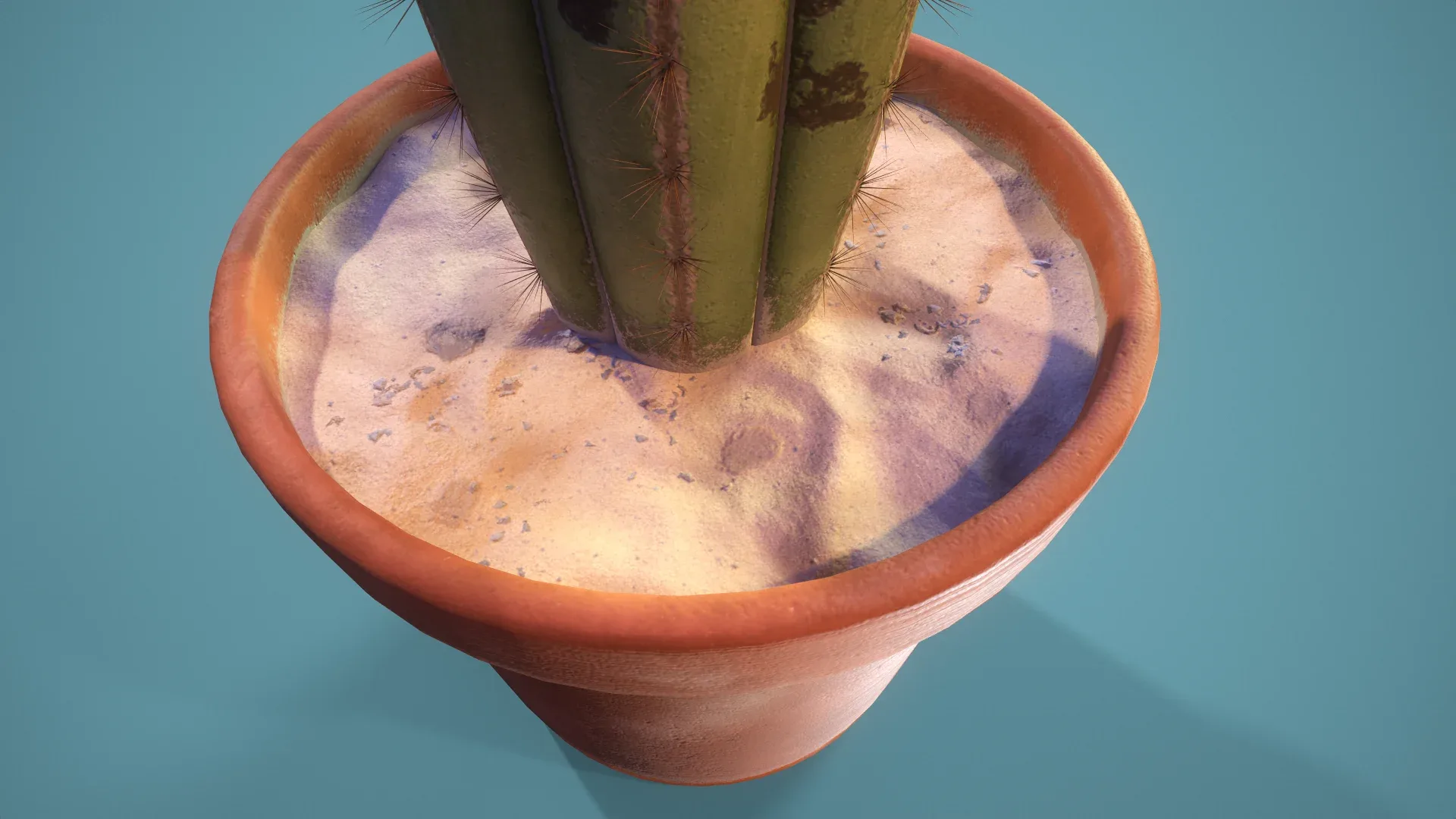 potted Cactus