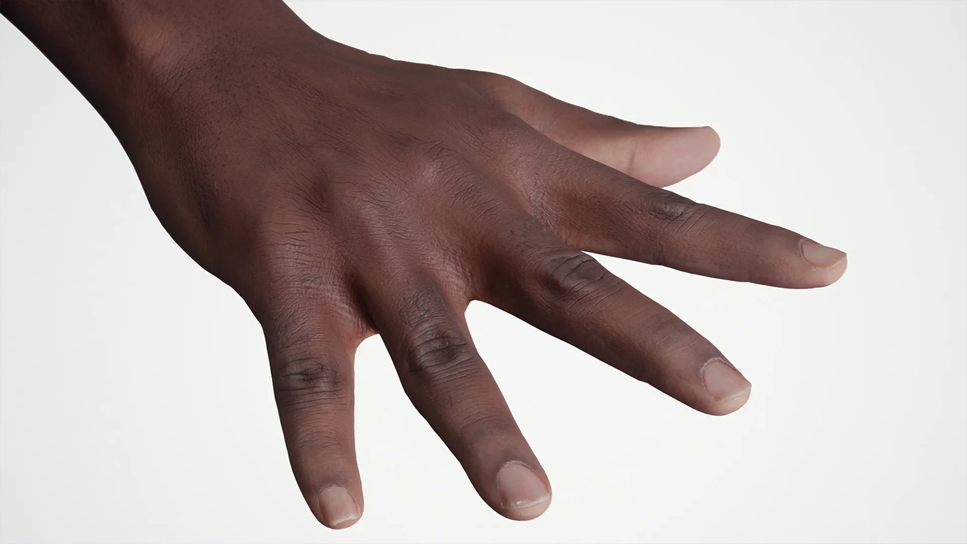 Retopologized Hand scan | 3D Model Ghalen Wilson