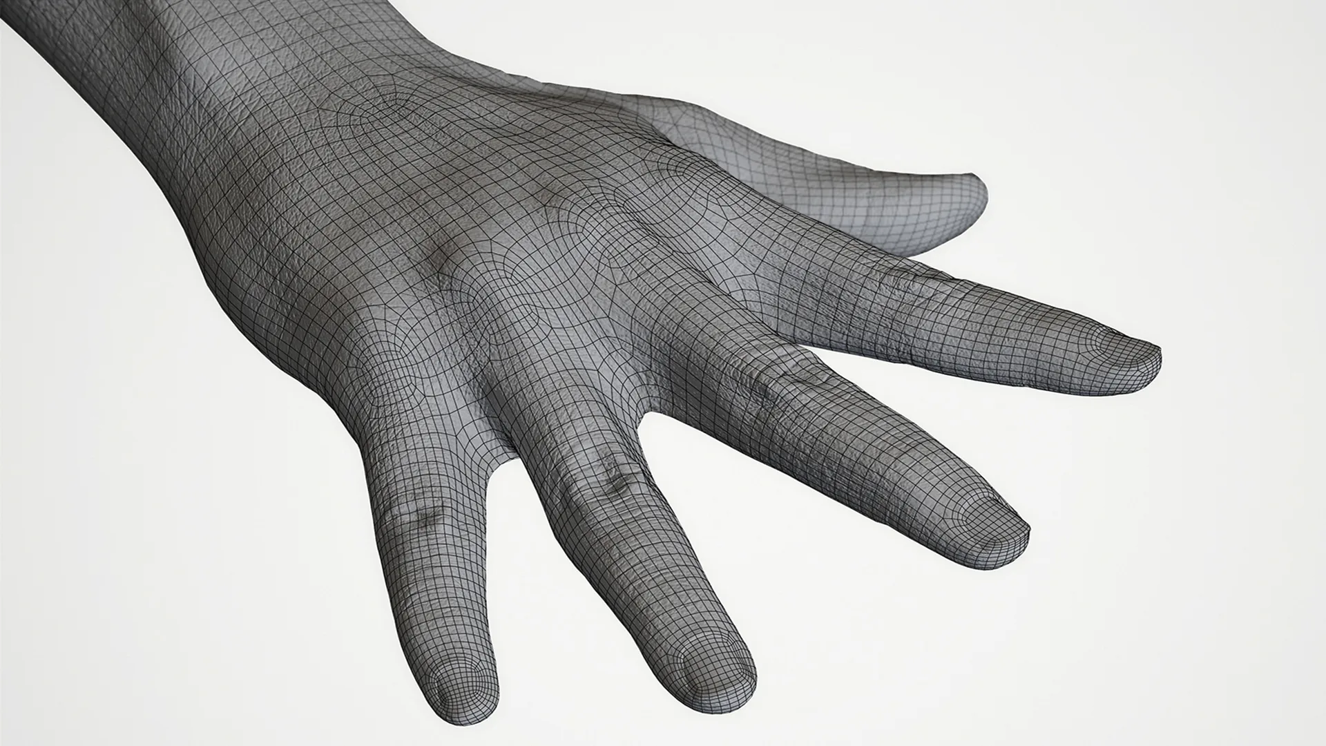 Retopologized Hand scan | 3D Model Ghalen Wilson