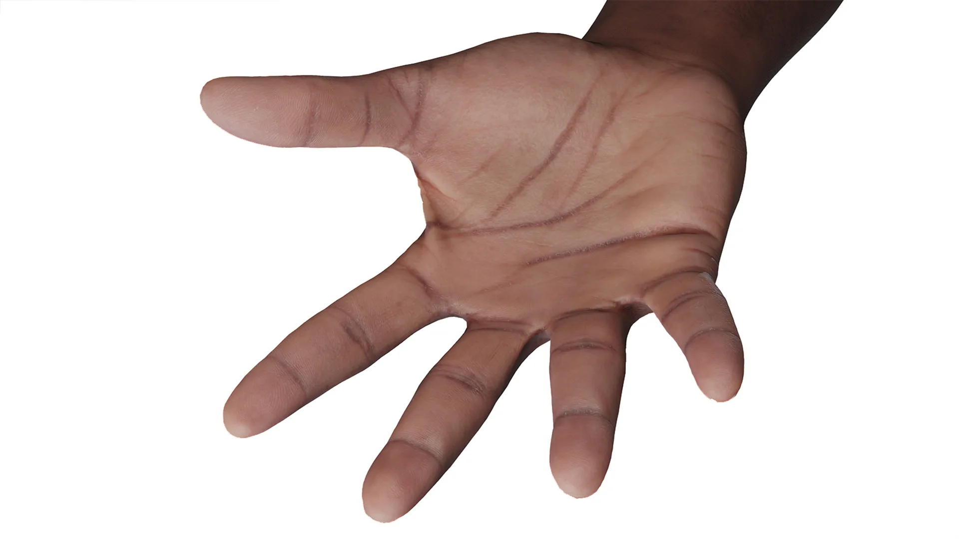 Retopologized Hand scan | 3D Model Ghalen Wilson