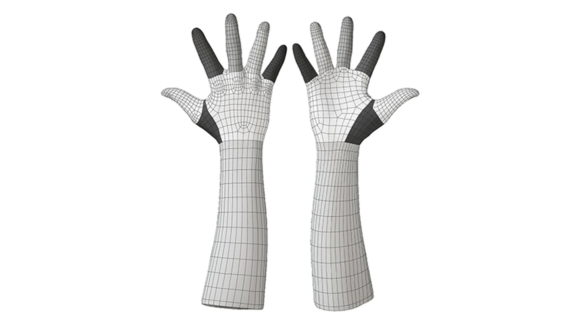 Retopologized Hand scan | 3D Model Ghalen Wilson