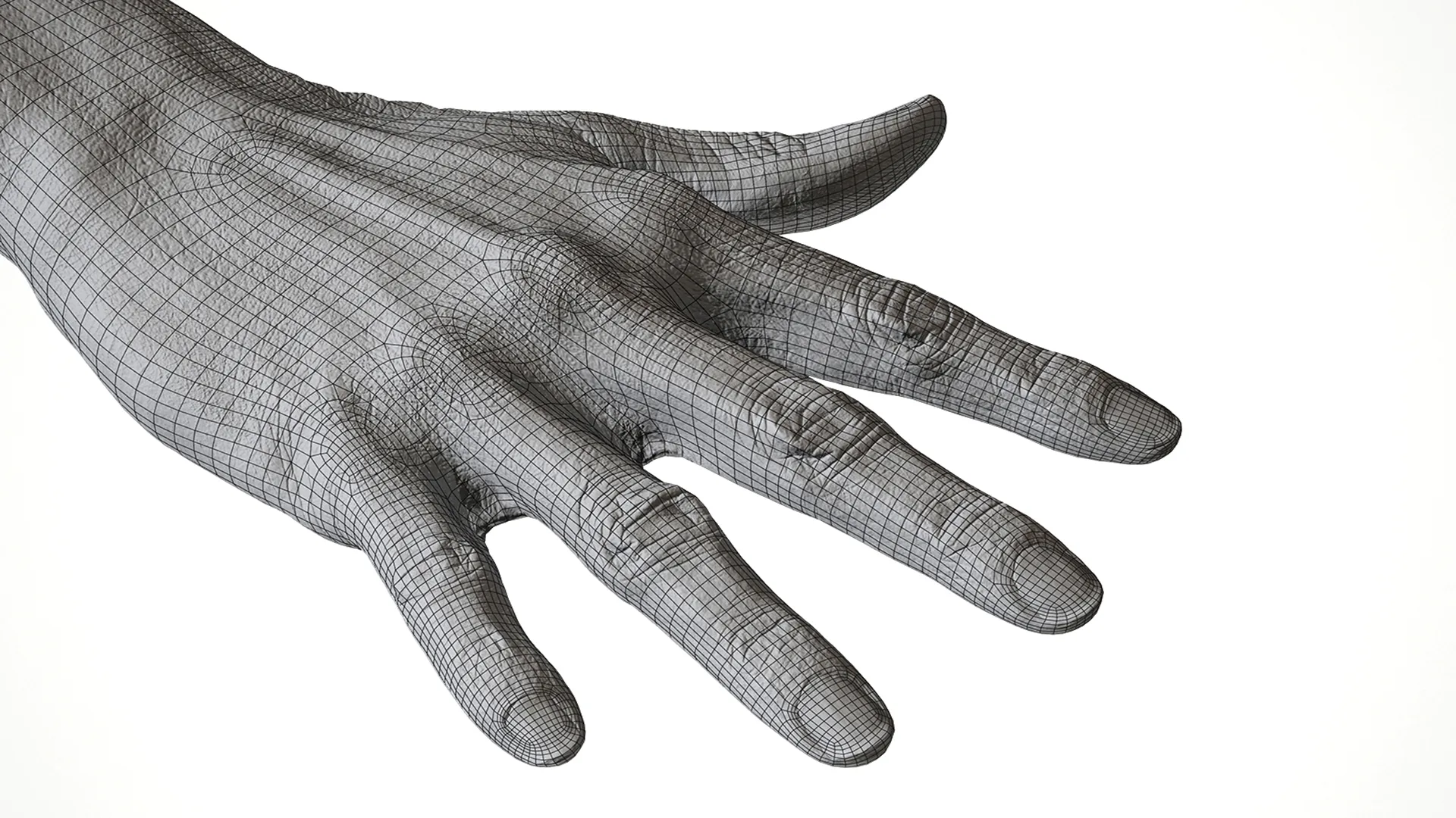 Retopologized Hand scan | 3D Model Malachi Sugihen