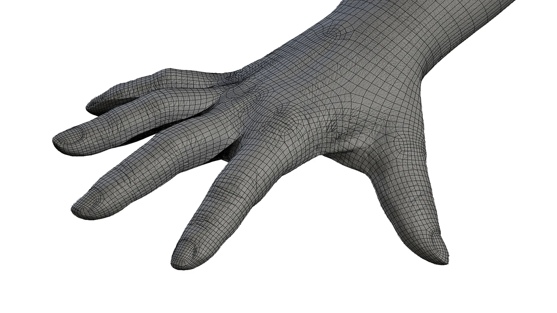 Retopologized Hand scan 3D Model FlippedNormals