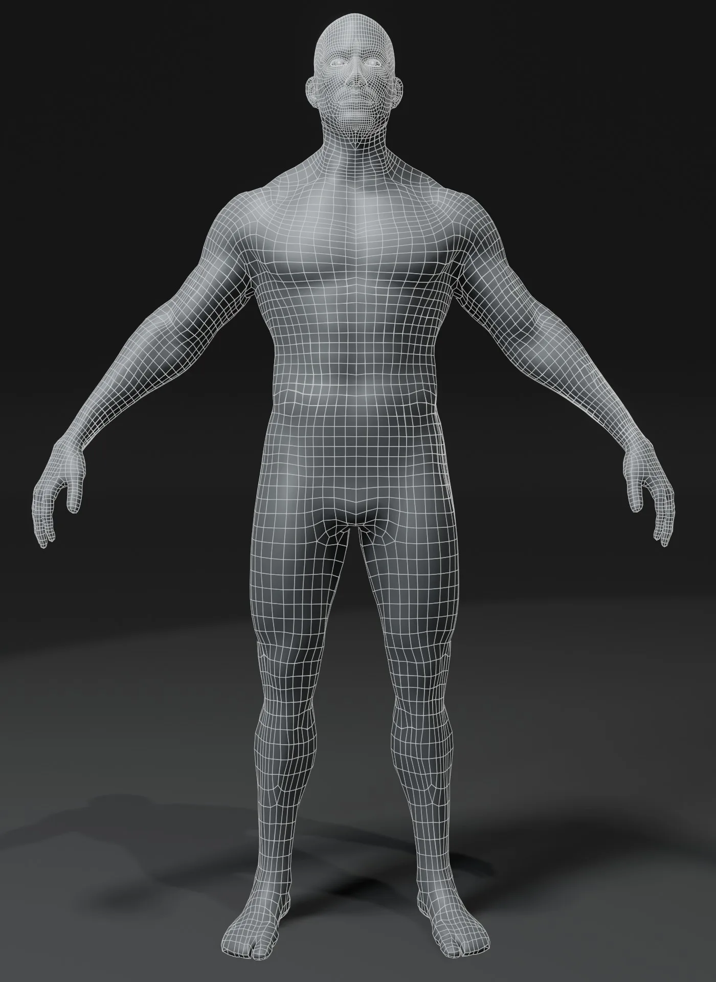 Male Body Base Mesh 3D Model 10k Polygons