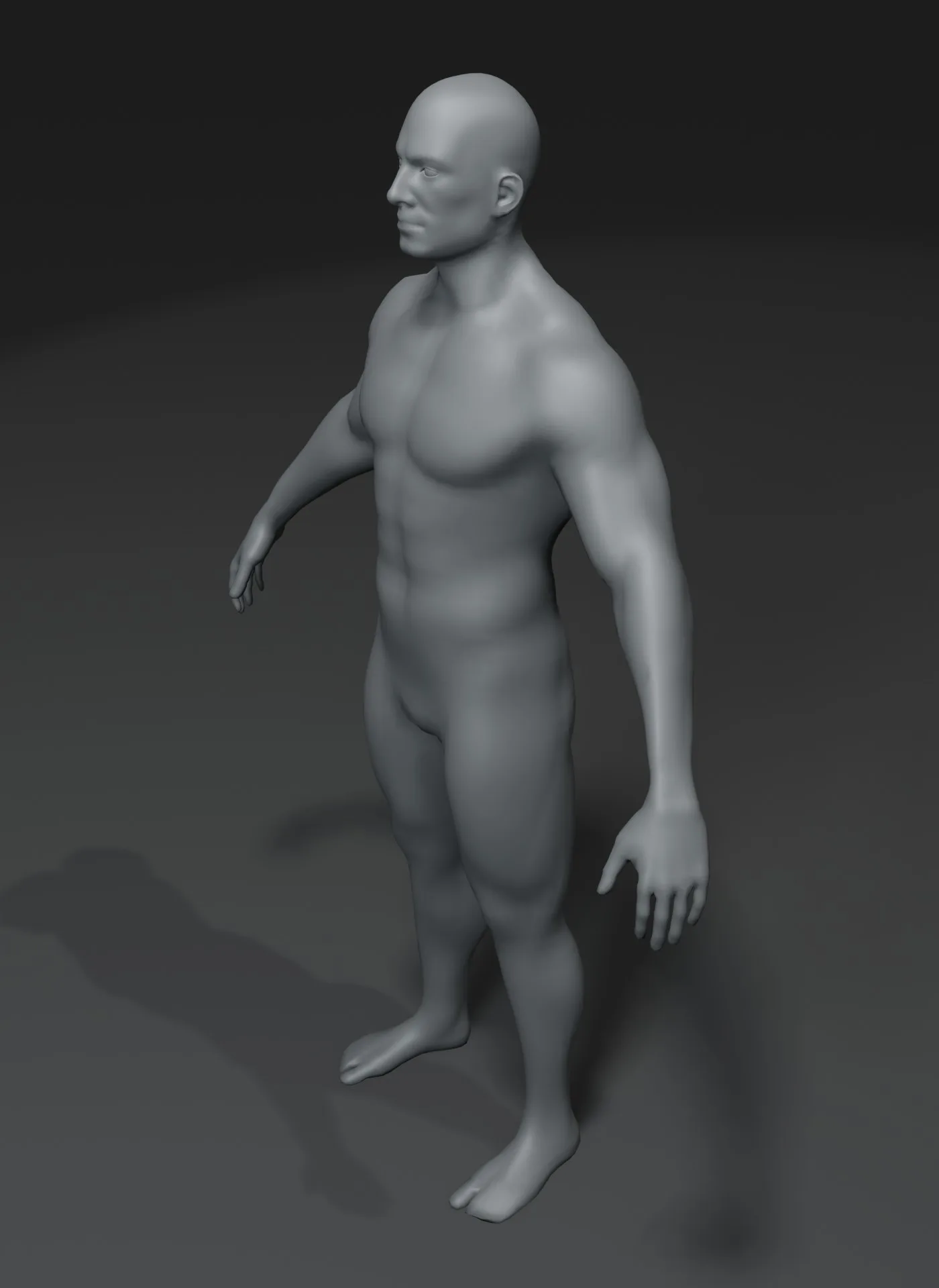 Male Body Base Mesh 3D Model 10k Polygons