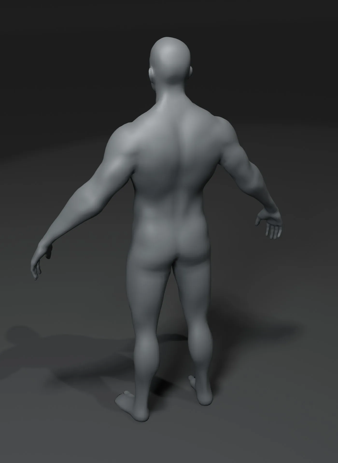 Male Body Base Mesh 3D Model 10k Polygons