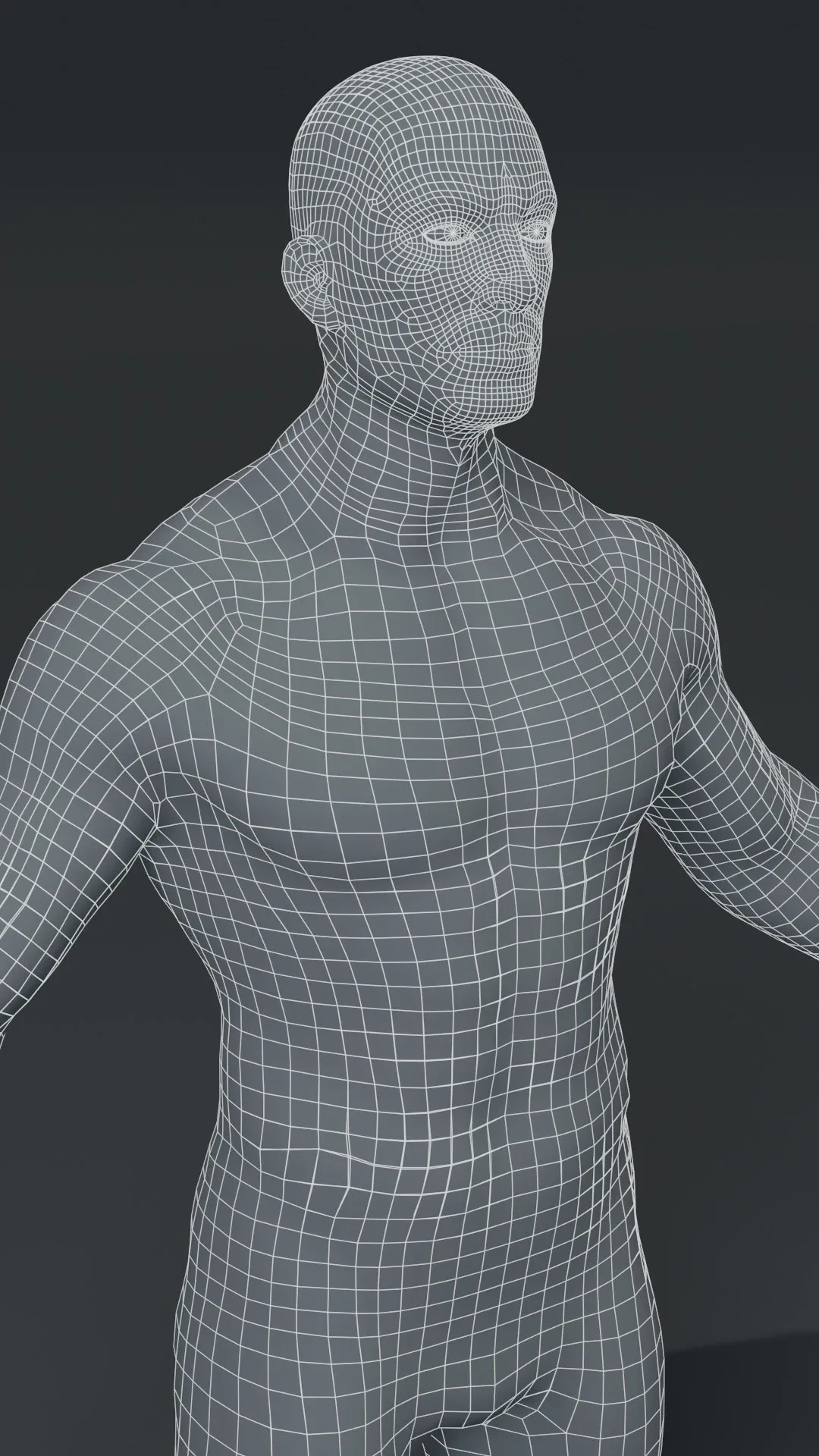 Male Body Base Mesh 3D Model 10k Polygons