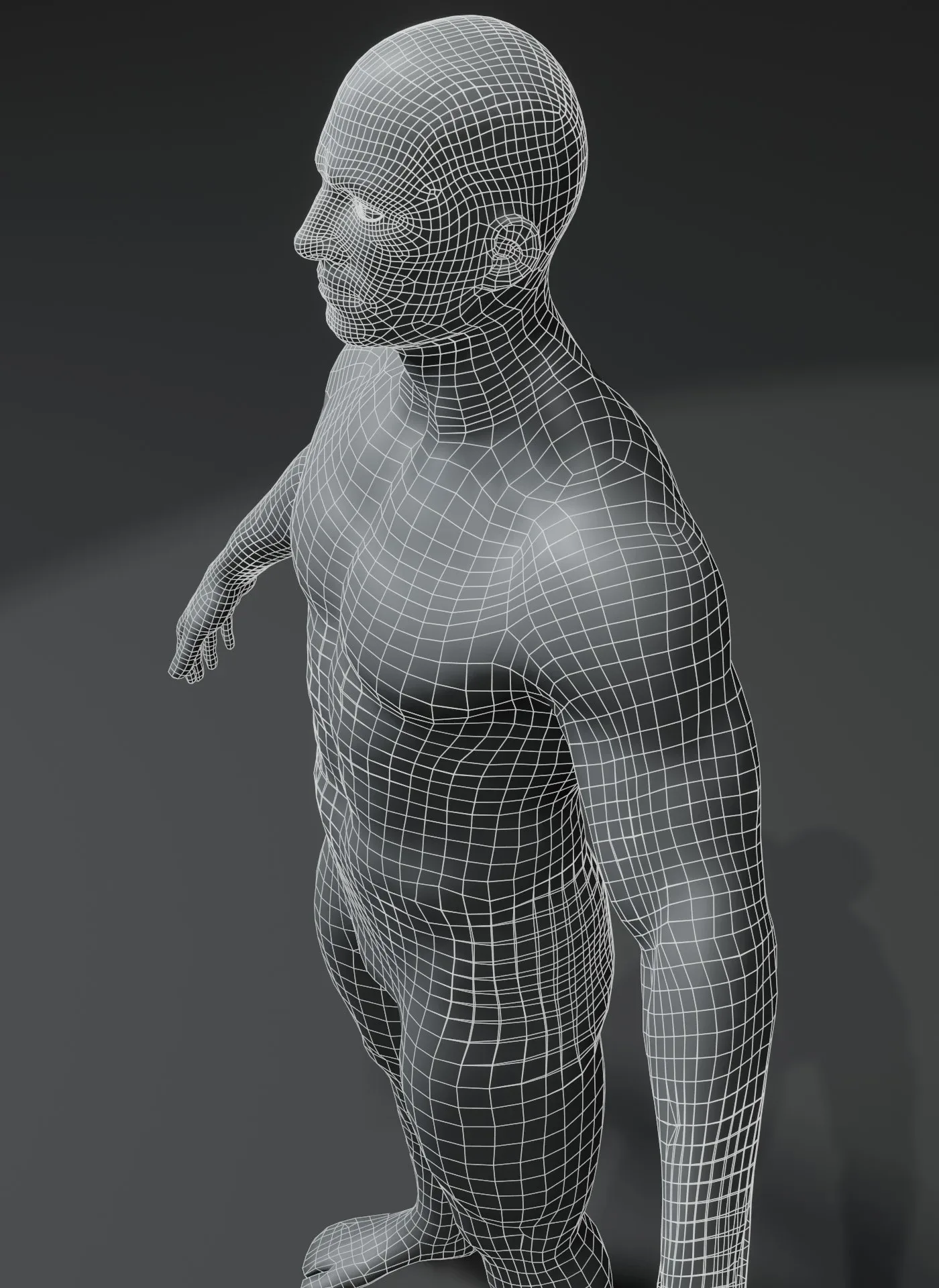 Male Body Base Mesh 3D Model 10k Polygons