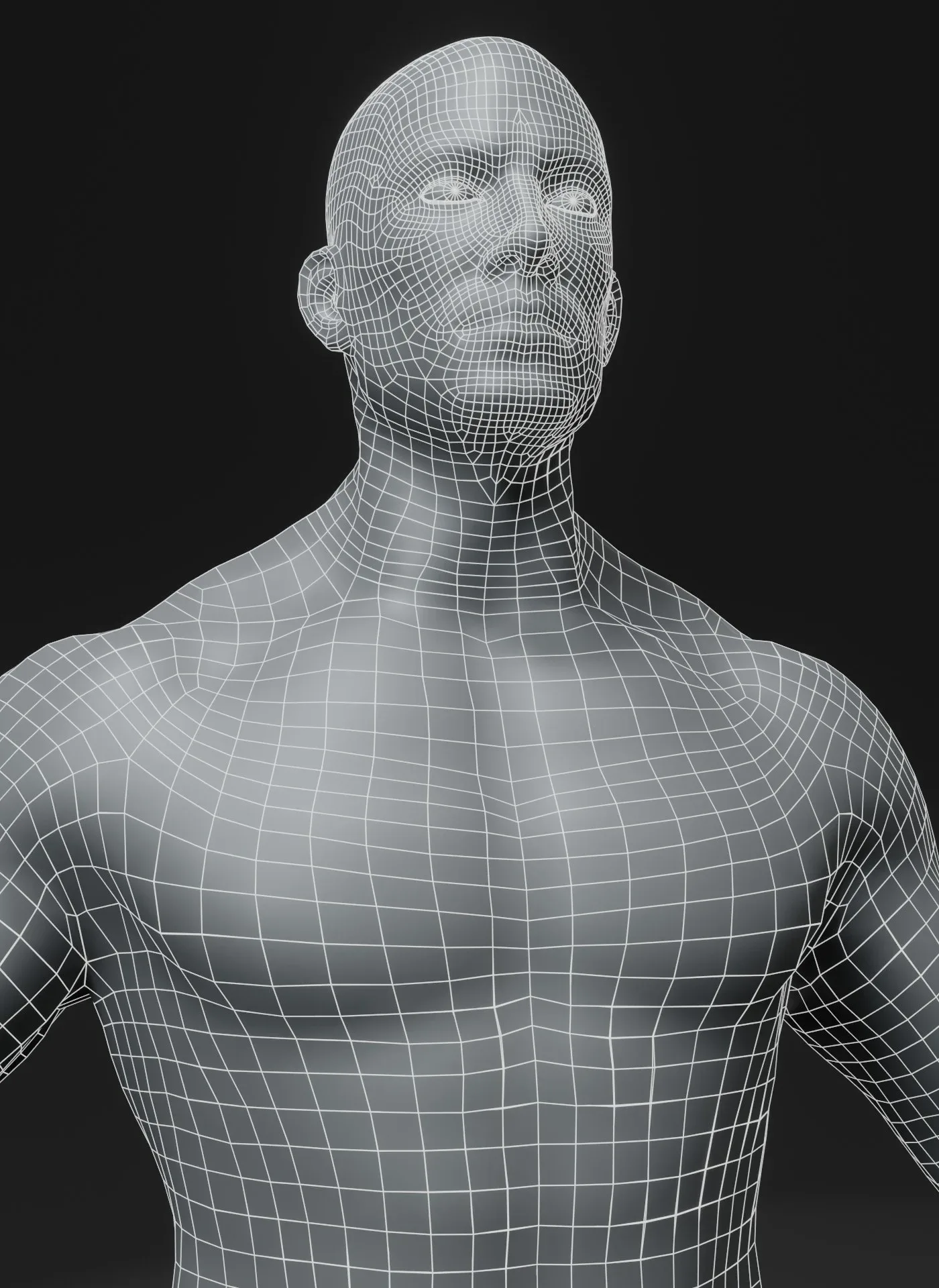 Male Body Base Mesh 3D Model 10k Polygons