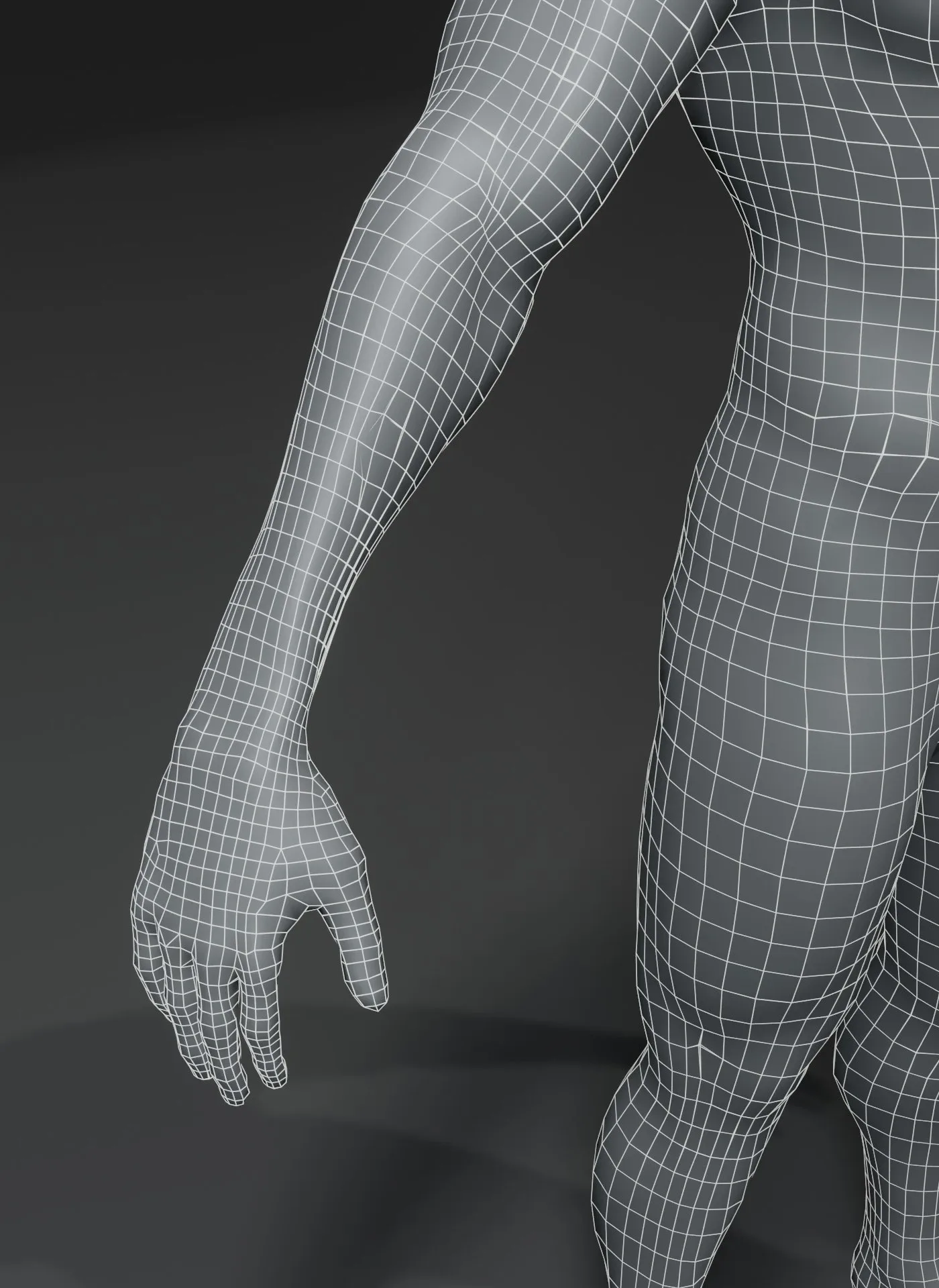 Male Body Base Mesh 3D Model 10k Polygons