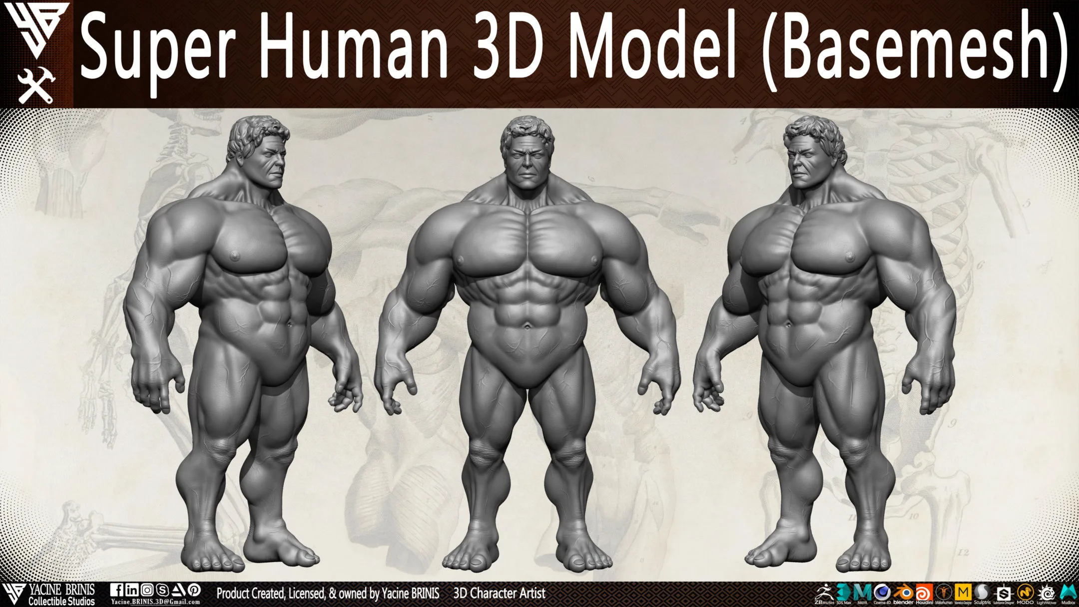 Super Human 3D Model (BaseMesh)