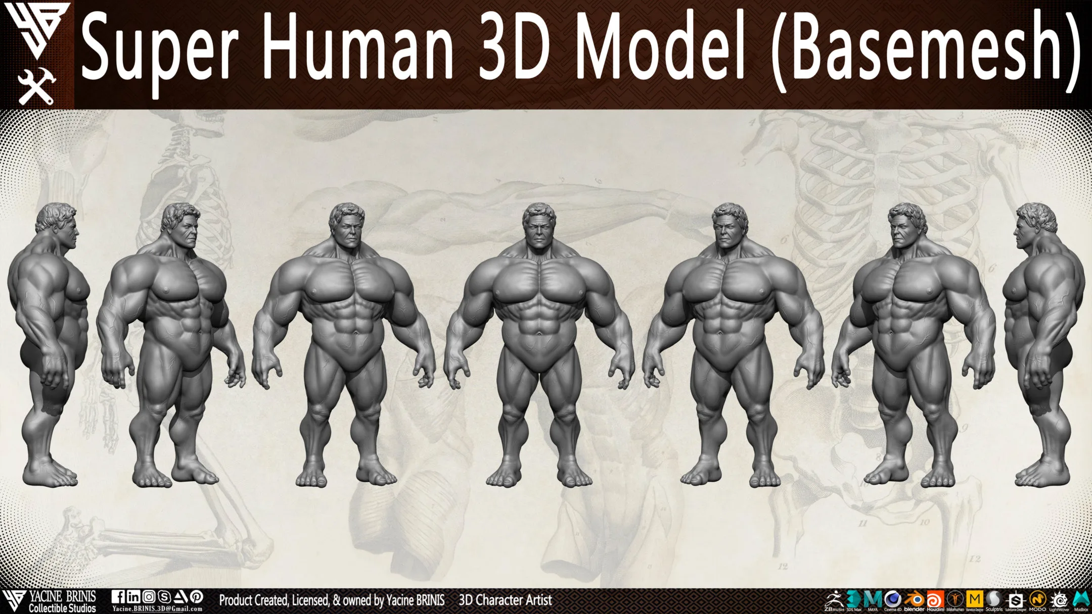 Super Human 3D Model (BaseMesh)