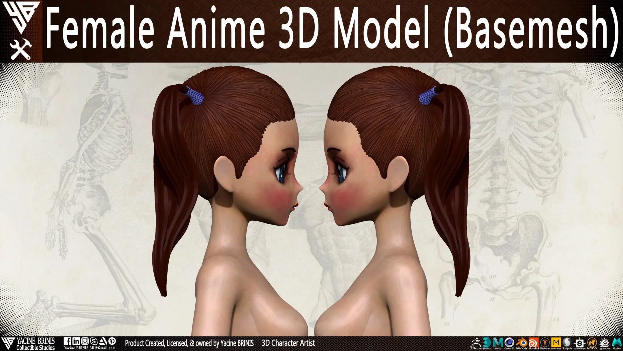 Female Anime 3D Model (Basemesh) Vol 01