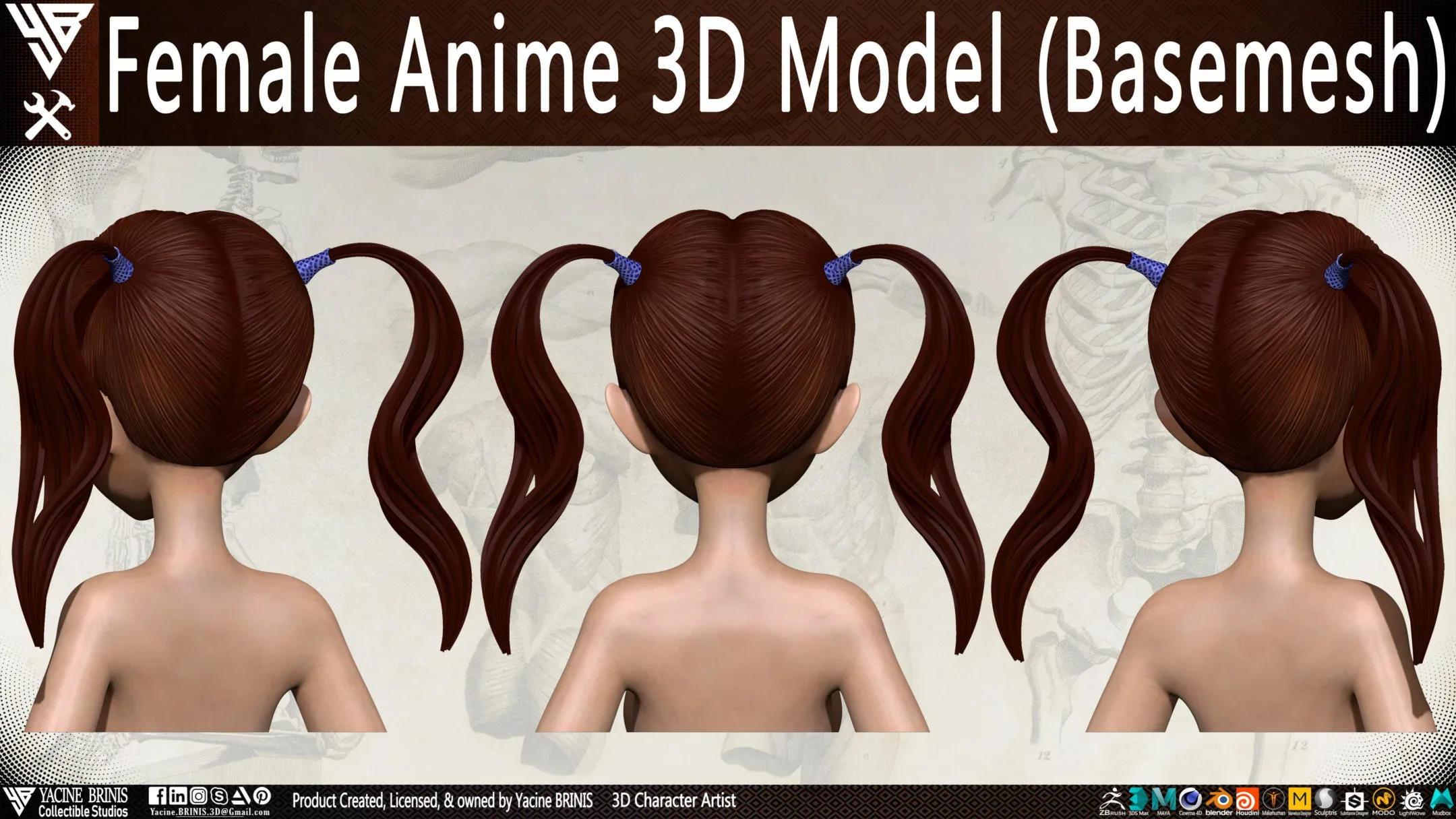 Female Anime 3D Model (Basemesh) Vol 01