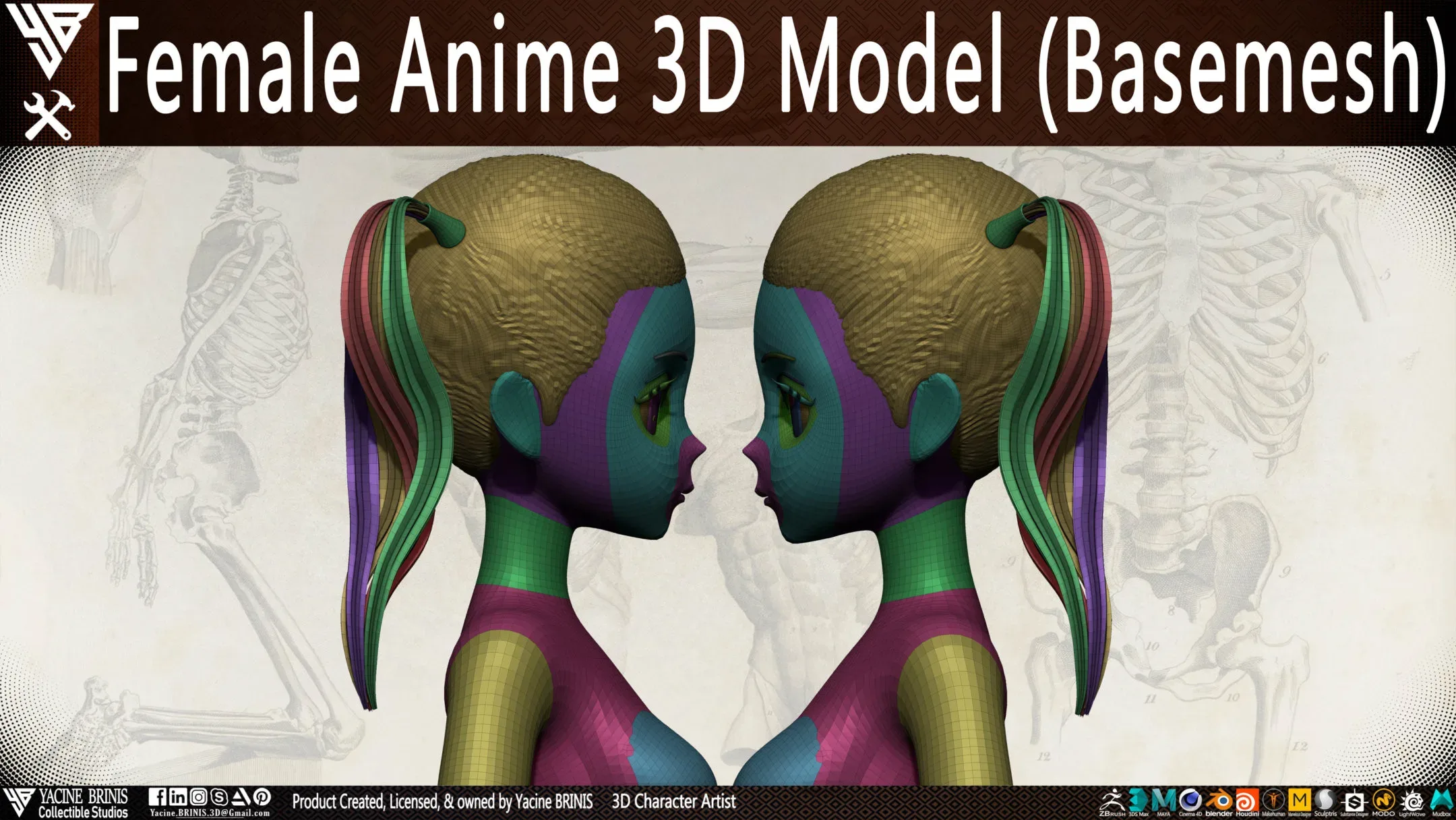 Female Anime 3D Model (Basemesh) Vol 01