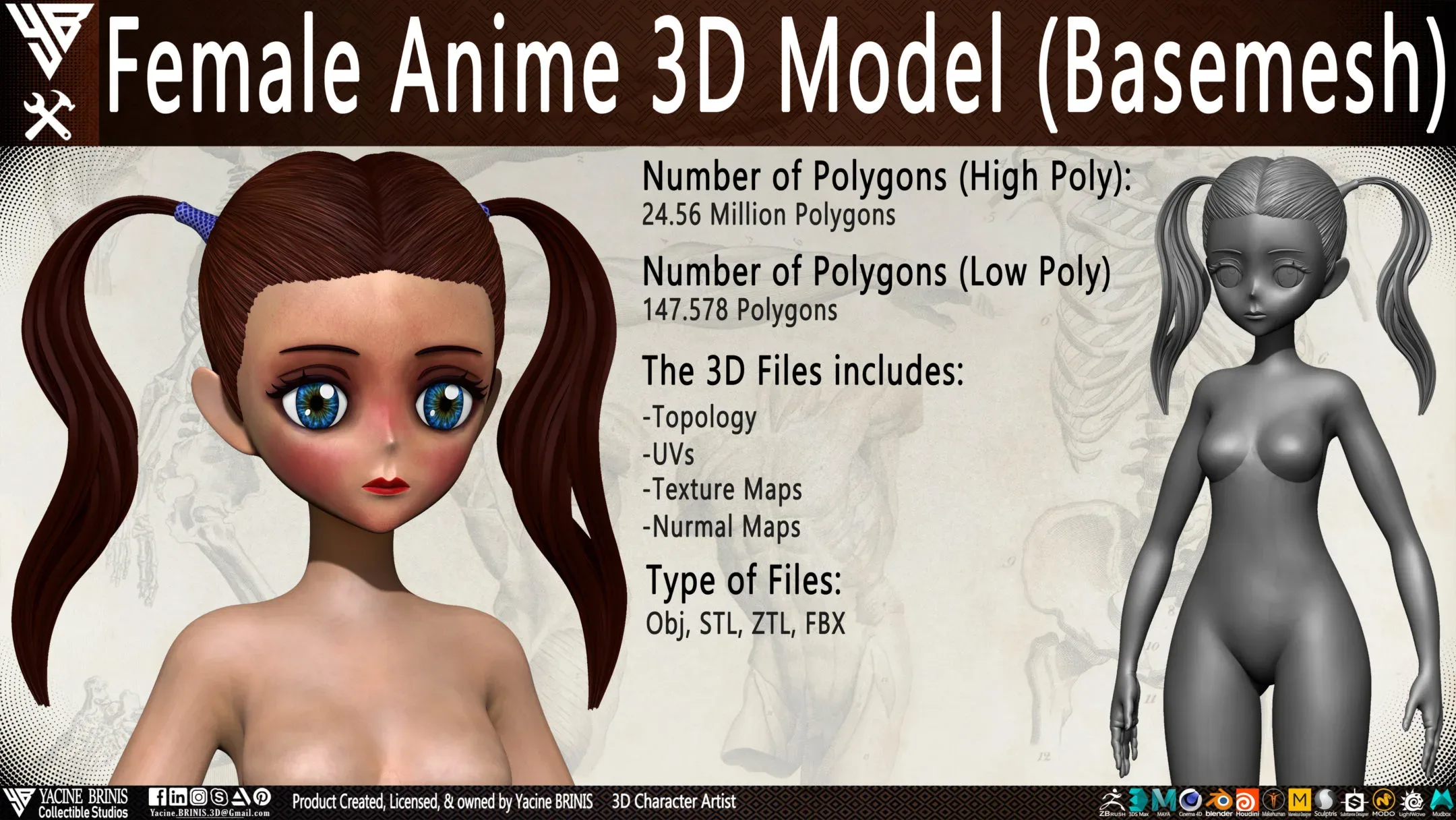 Female Anime 3D Model (Basemesh) Vol 01