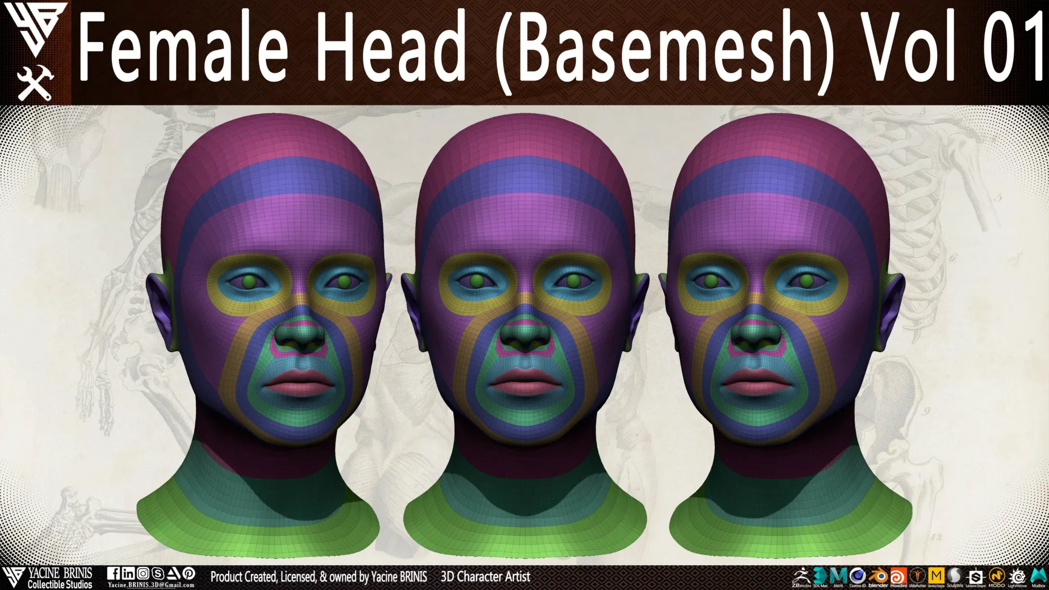 Female Head Basemesh Vol 01