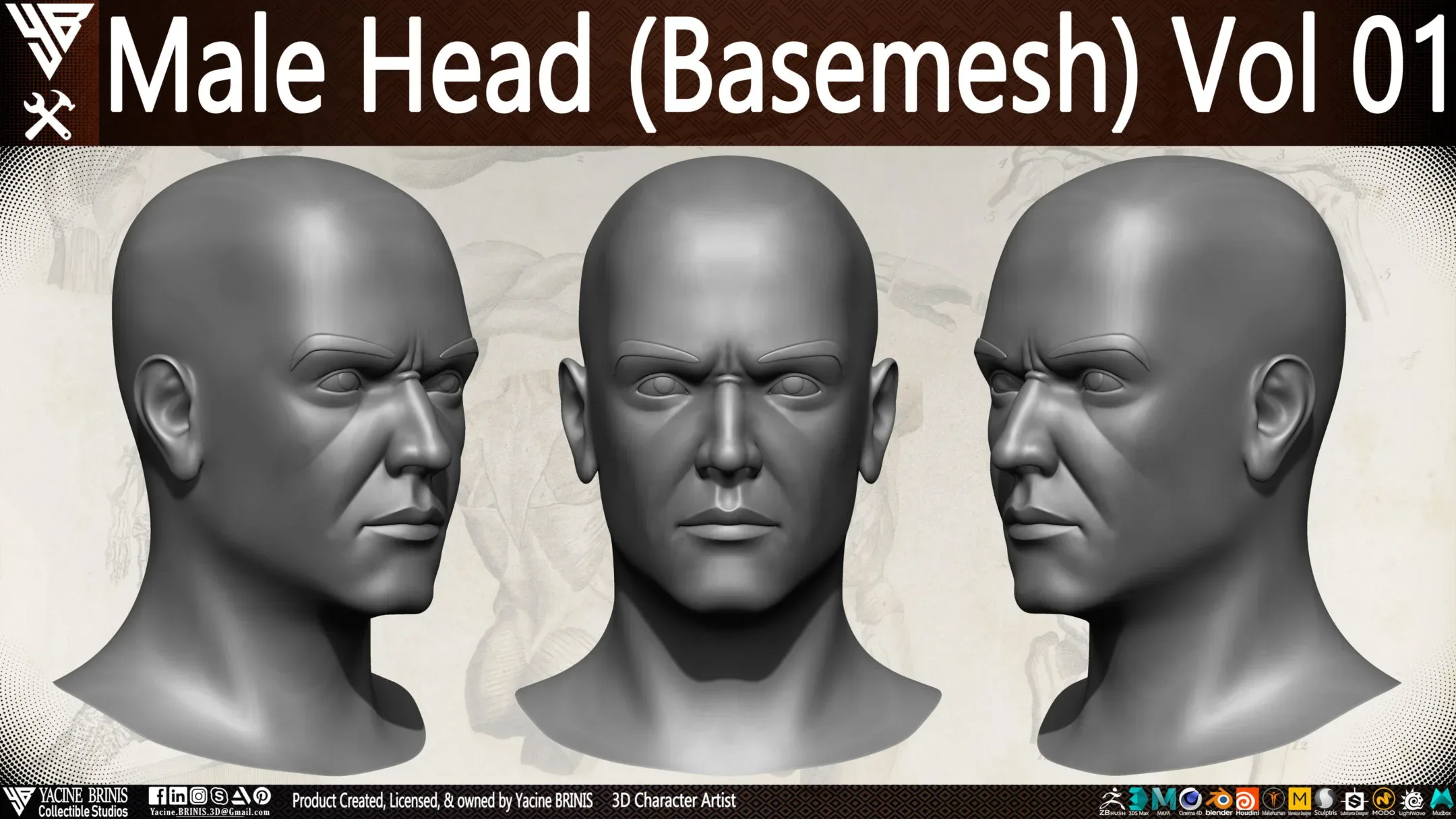 Male Head Basemesh Vol 01