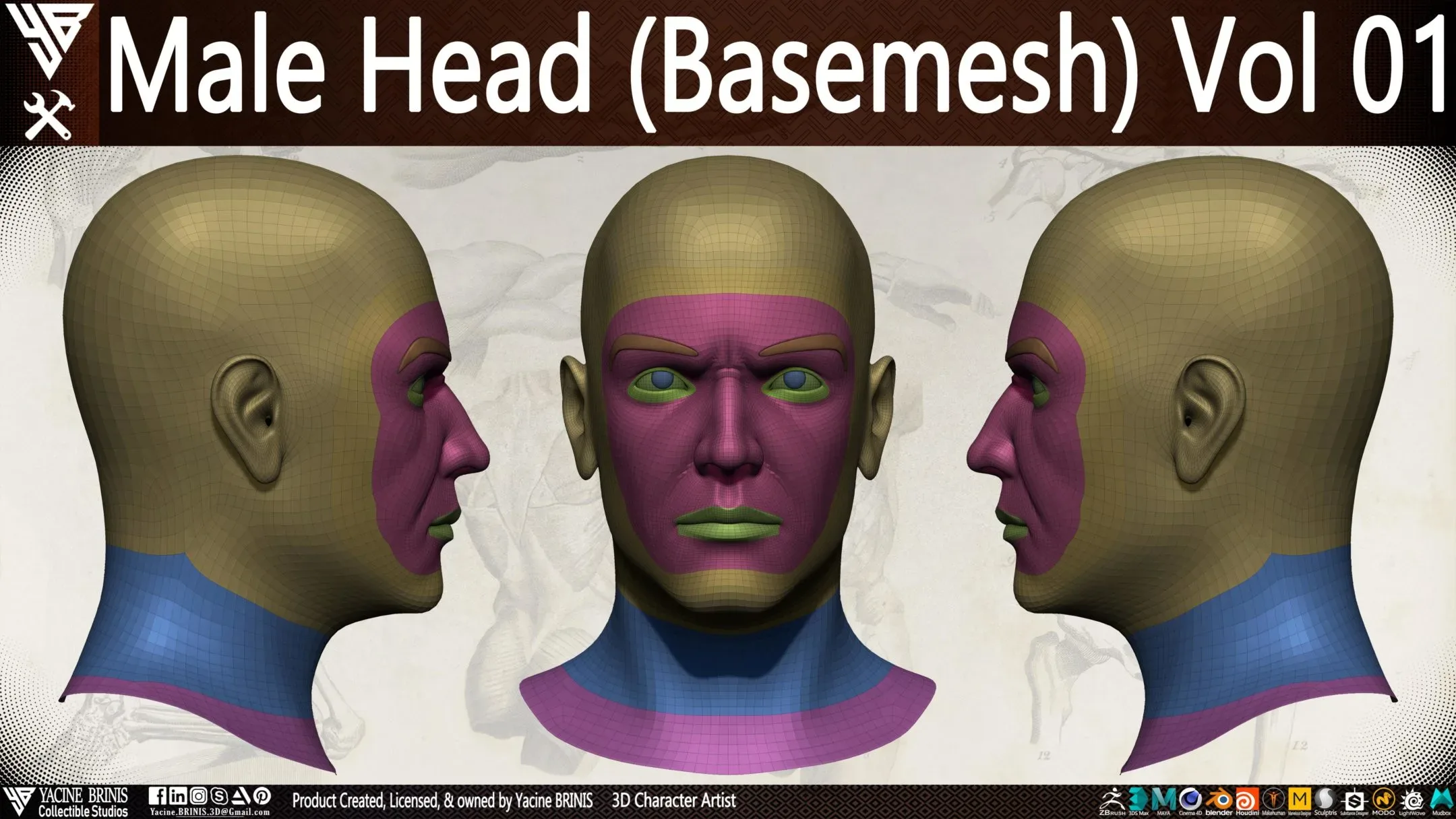 Male Head Basemesh Vol 01