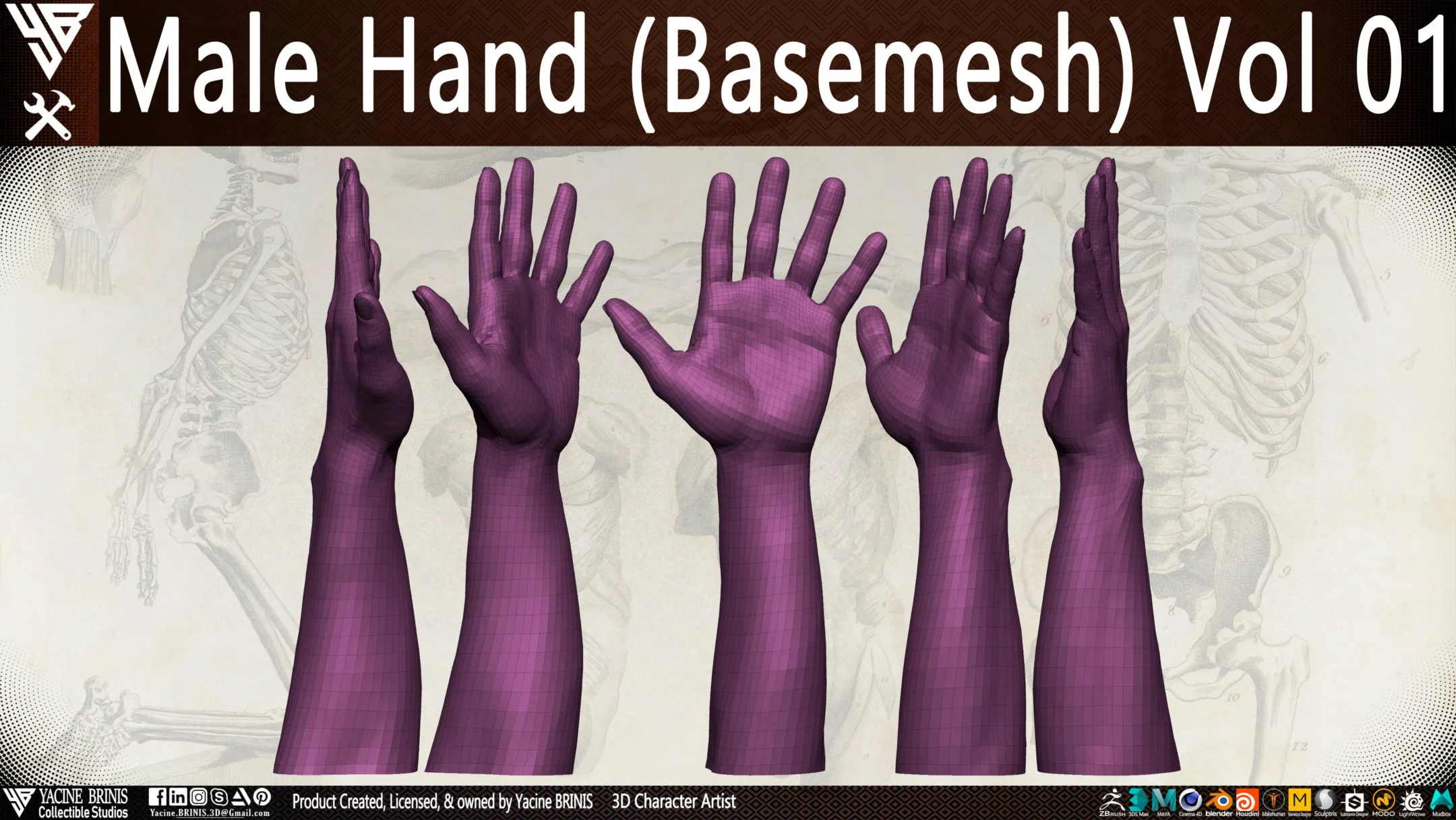 Male Hand (Basemesh) Vol 01