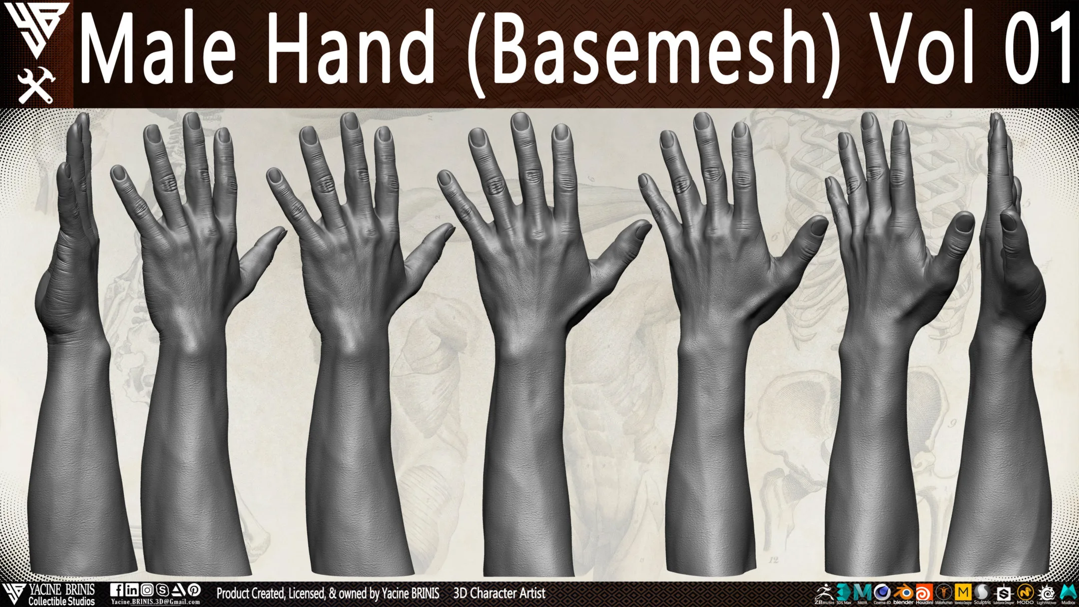 Male Hand (Basemesh) Vol 01