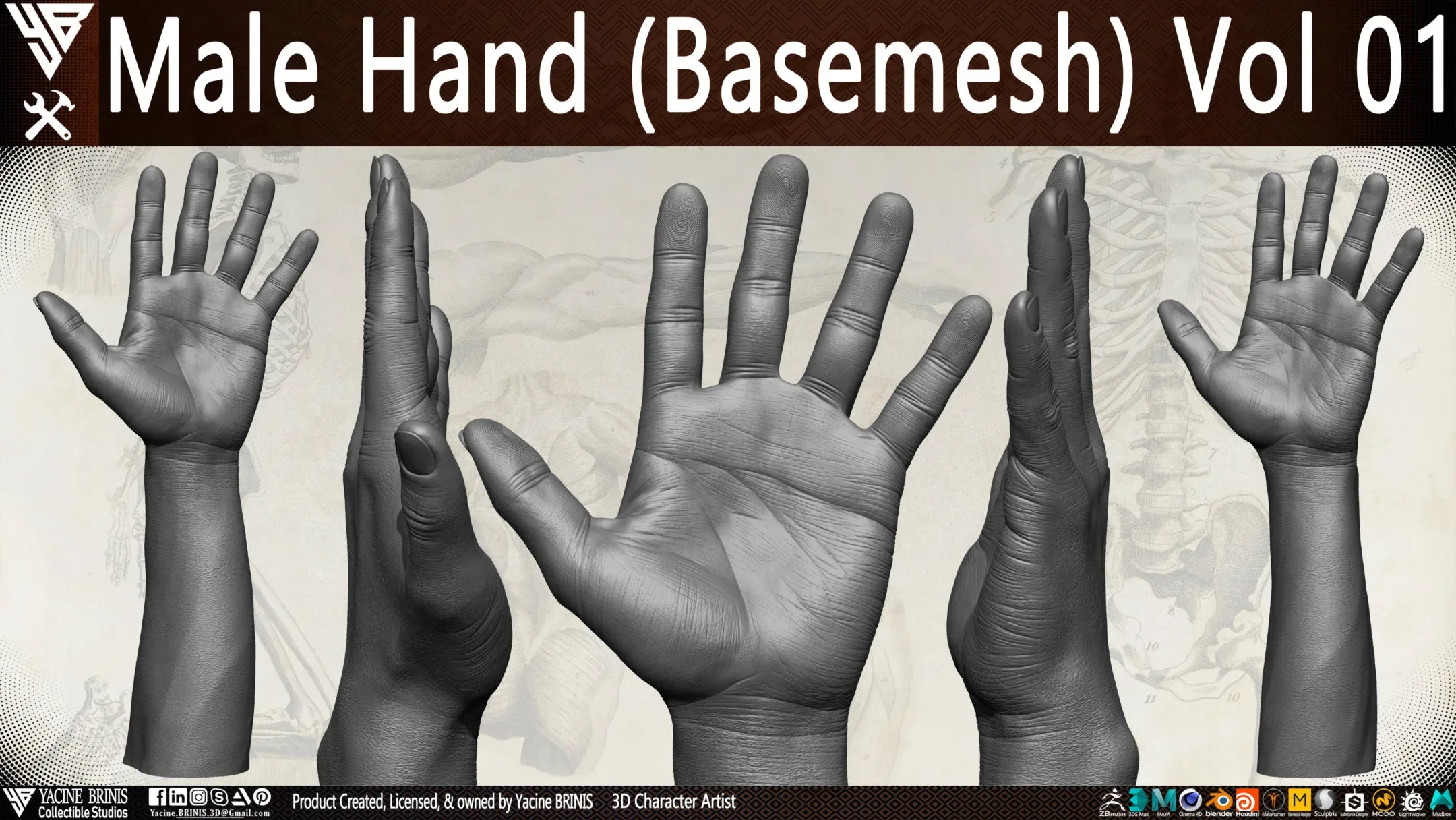 Male Hand (Basemesh) Vol 01