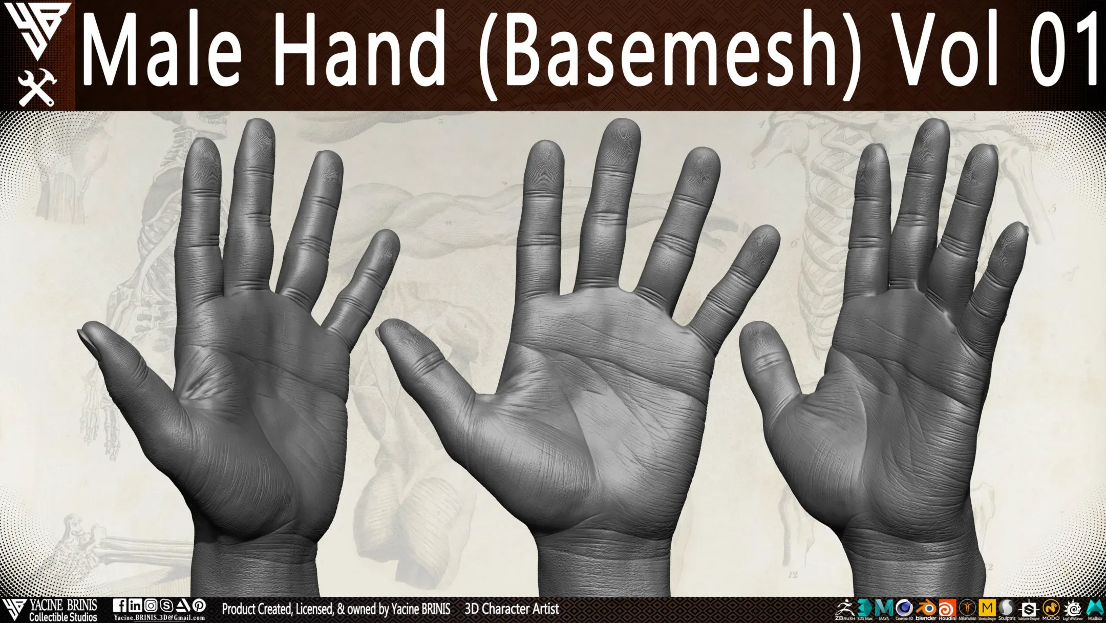 Male Hand (Basemesh) Vol 01