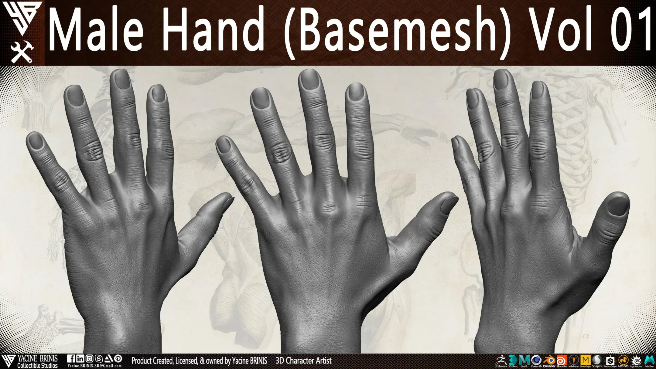 Male Hand (Basemesh) Vol 01