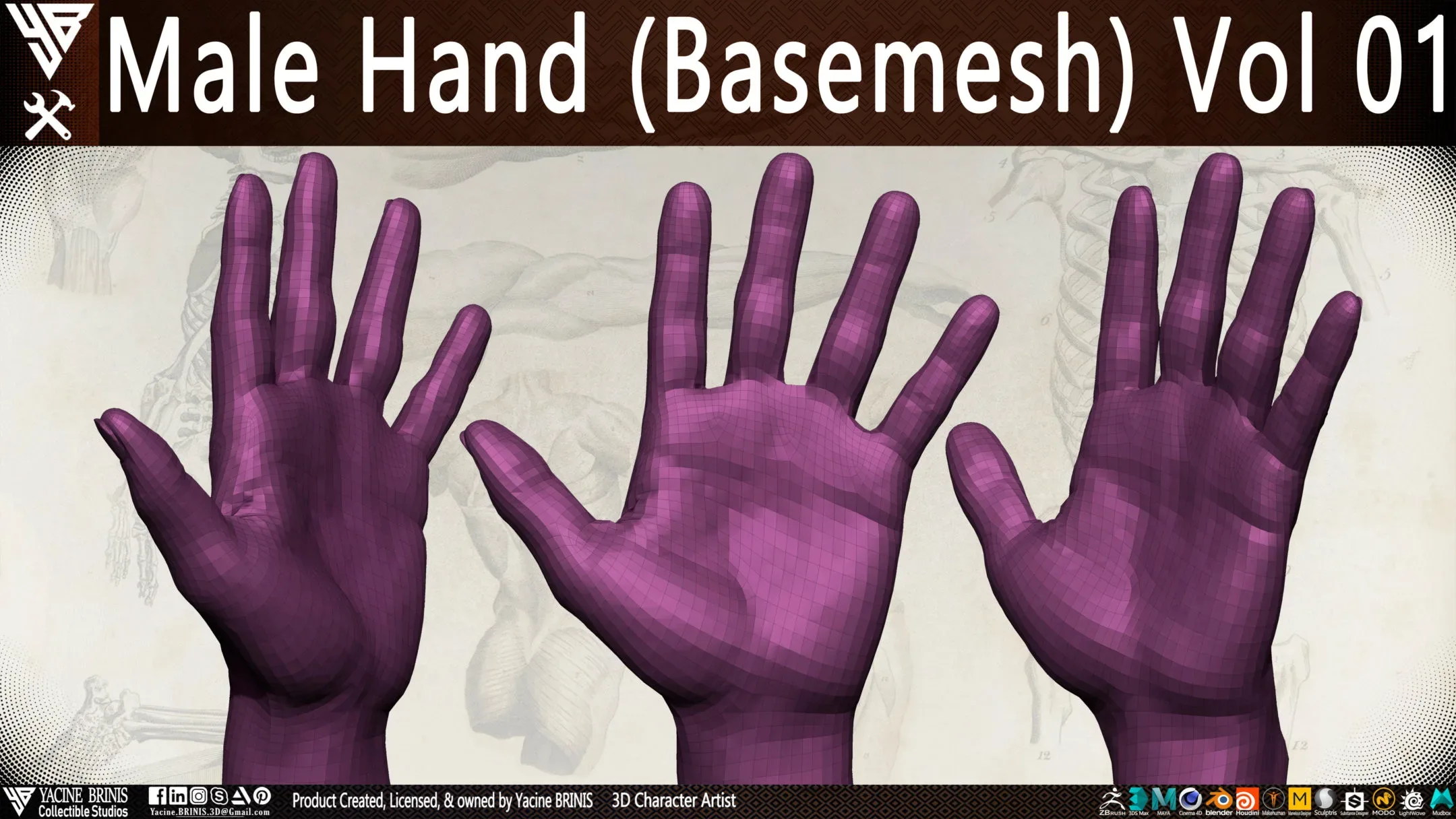 Male Hand (Basemesh) Vol 01