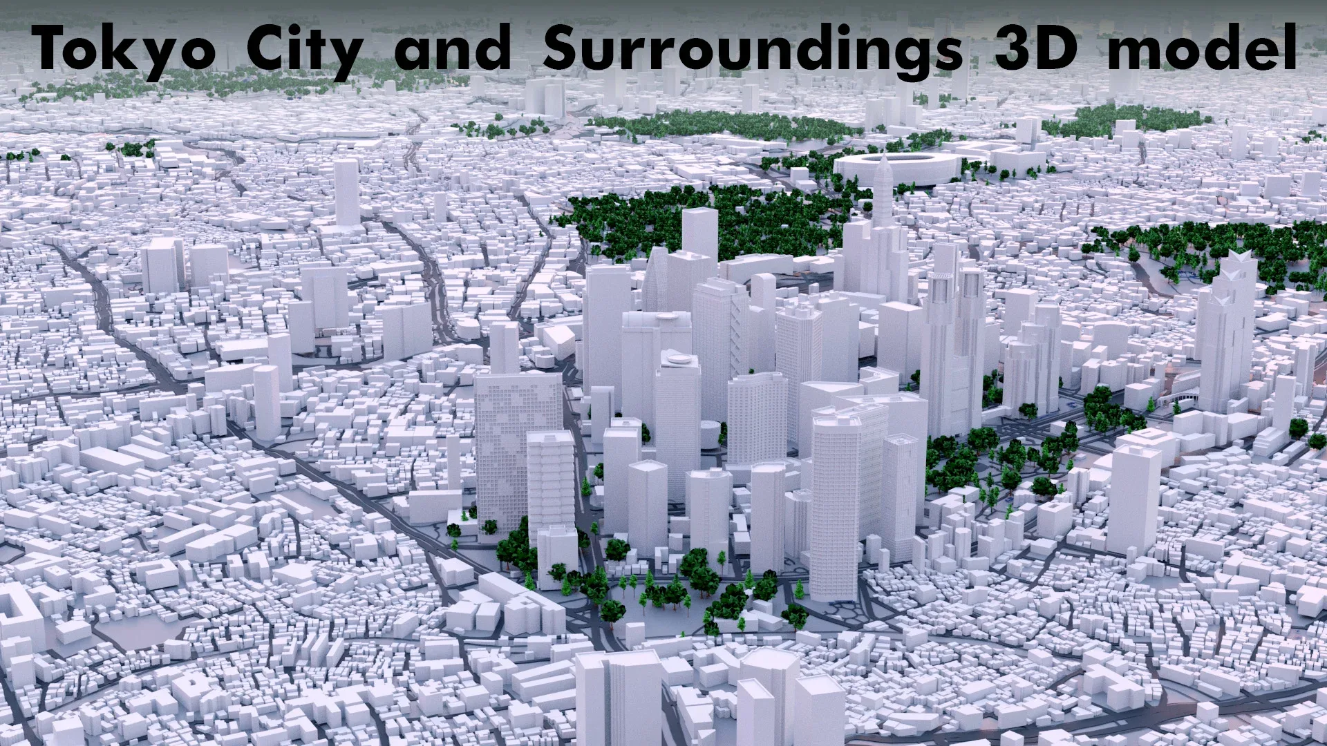 Tokyo City and Surroundings 3D model