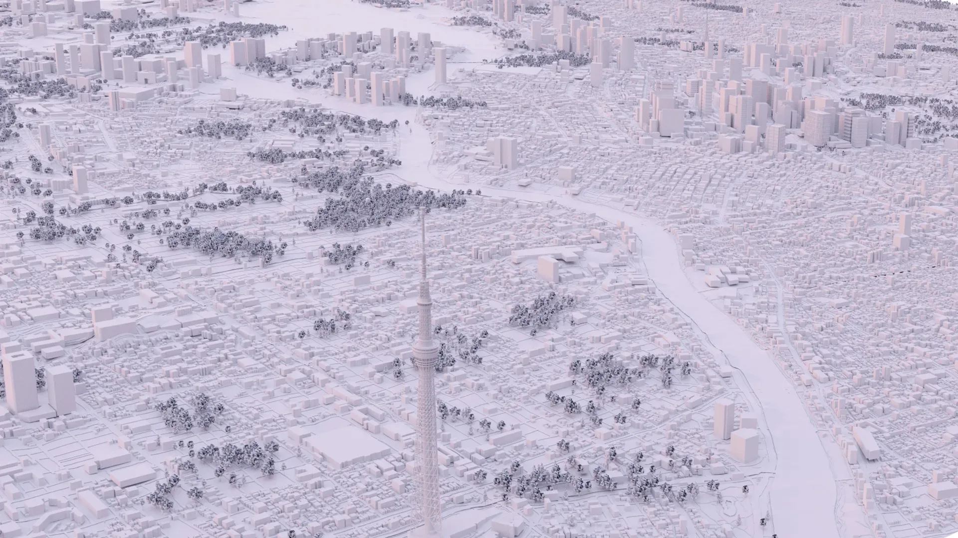 Tokyo City and Surroundings 3D model