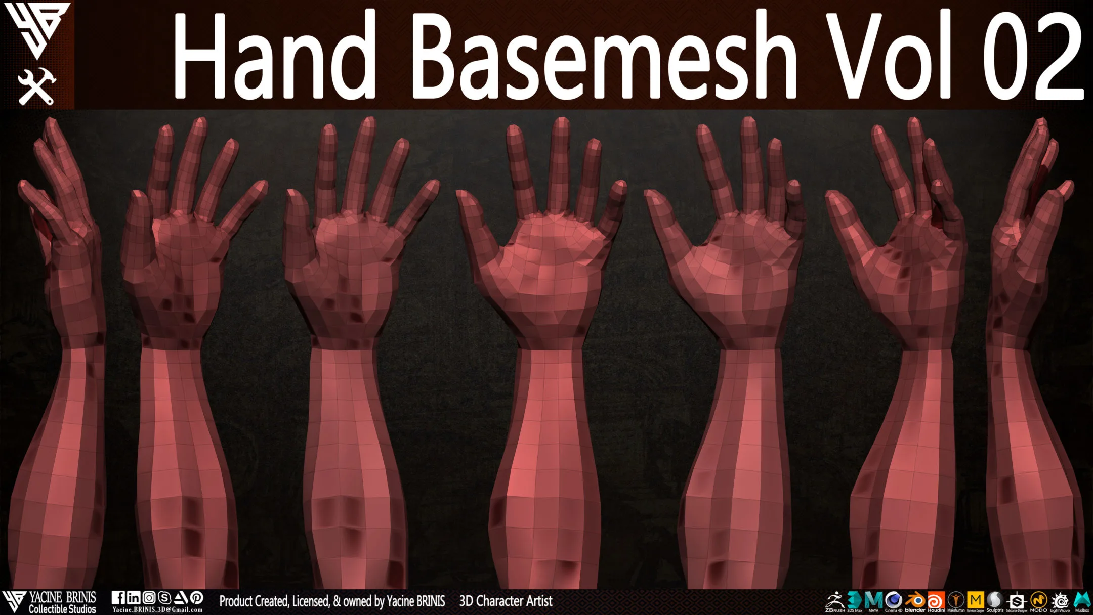 Hand Basemesh 3D Model Vol 02