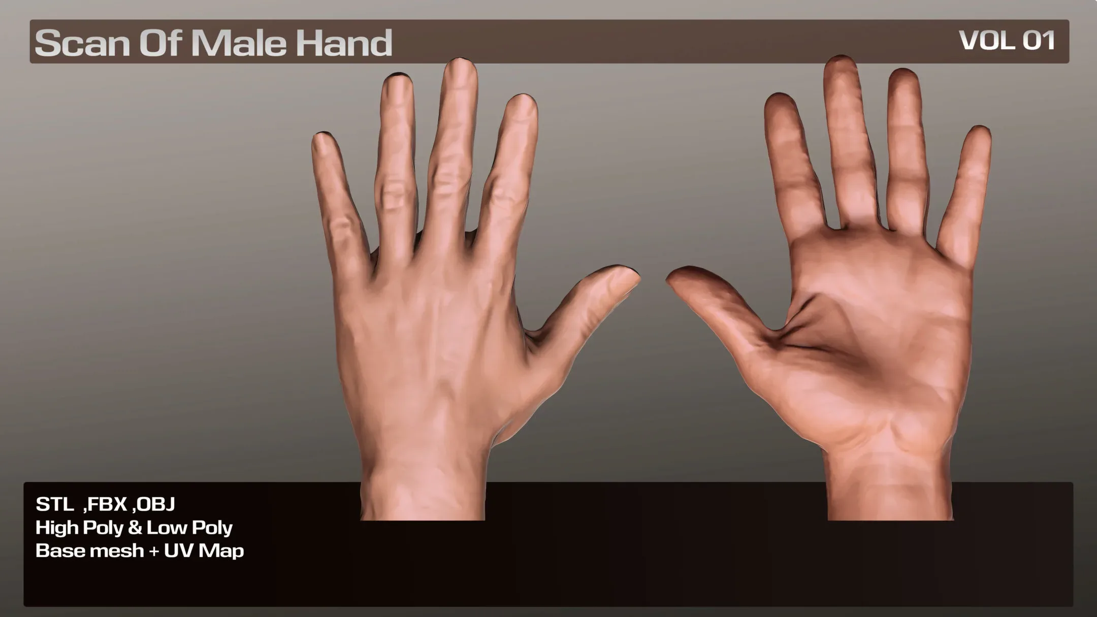 3D Scan Real Male Hand VOL 01