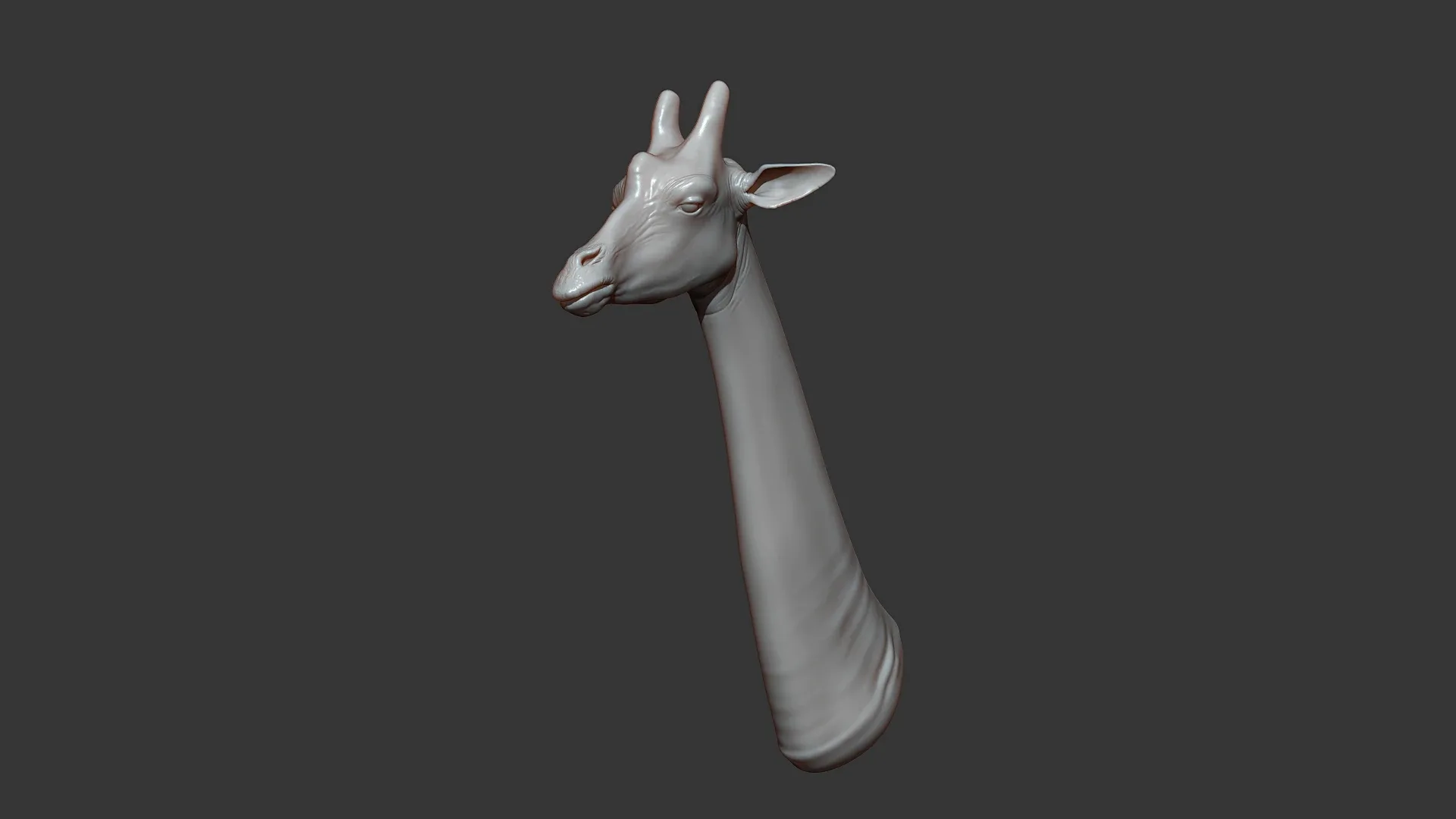 Giraffe Head Highpoly Sculpt