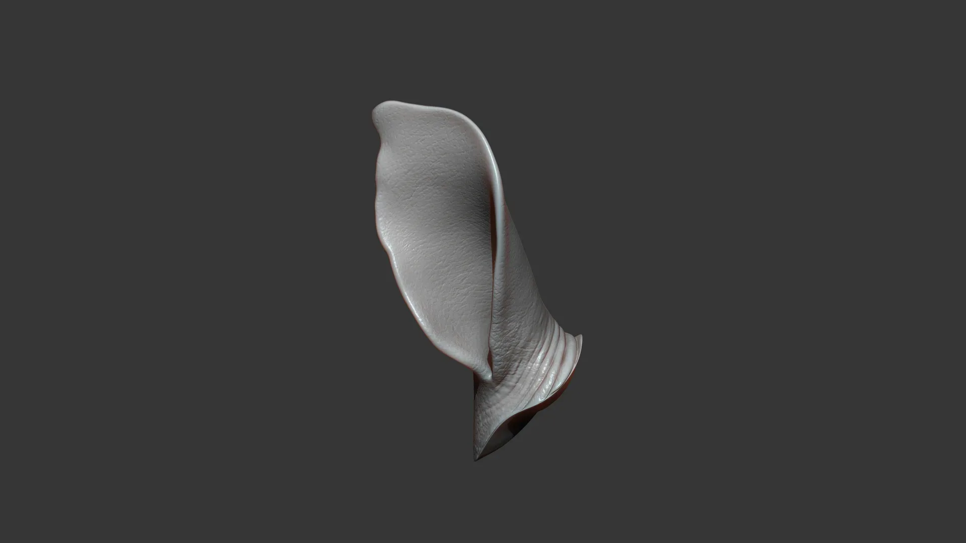 Rhino Baby Ear Highpoly Sculpt