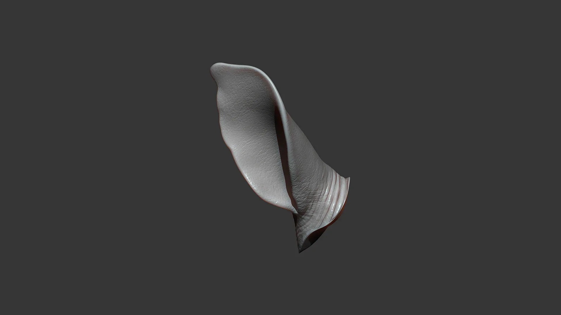 Rhino Baby Ear Highpoly Sculpt